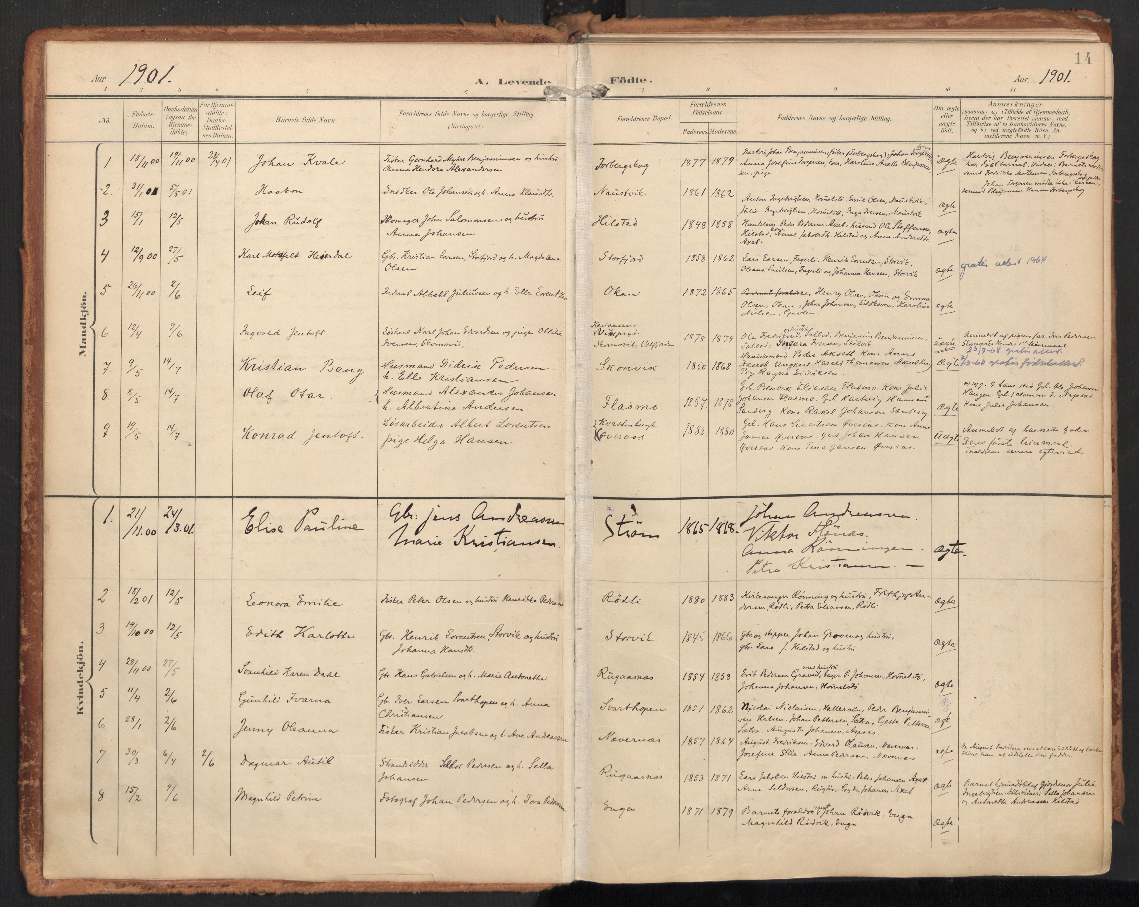Ministerialprotokoller, klokkerbøker og fødselsregistre - Nordland, SAT/A-1459/814/L0227: Parish register (official) no. 814A08, 1899-1920, p. 14