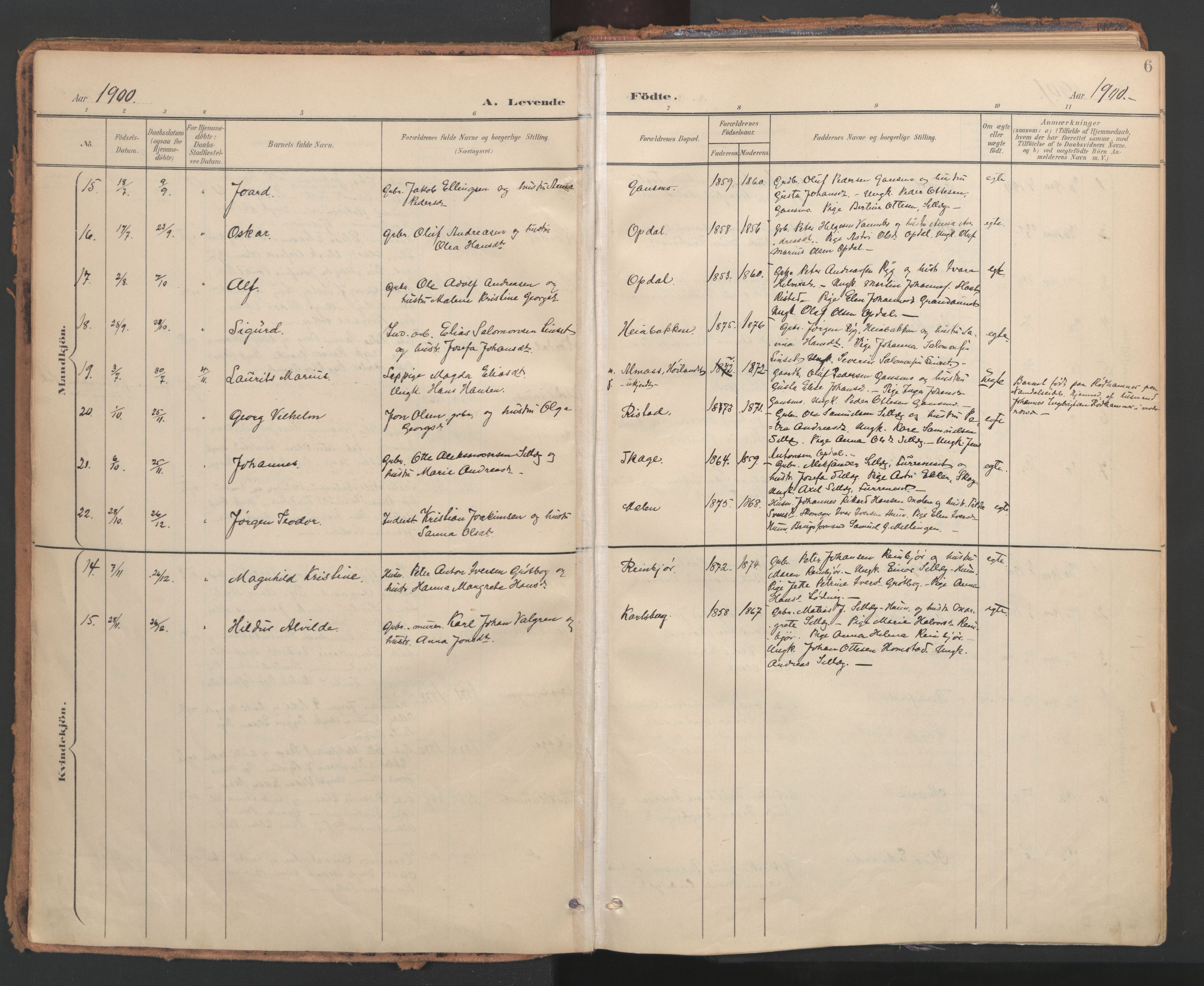 Ministerialprotokoller, klokkerbøker og fødselsregistre - Nord-Trøndelag, AV/SAT-A-1458/766/L0564: Parish register (official) no. 767A02, 1900-1932, p. 6