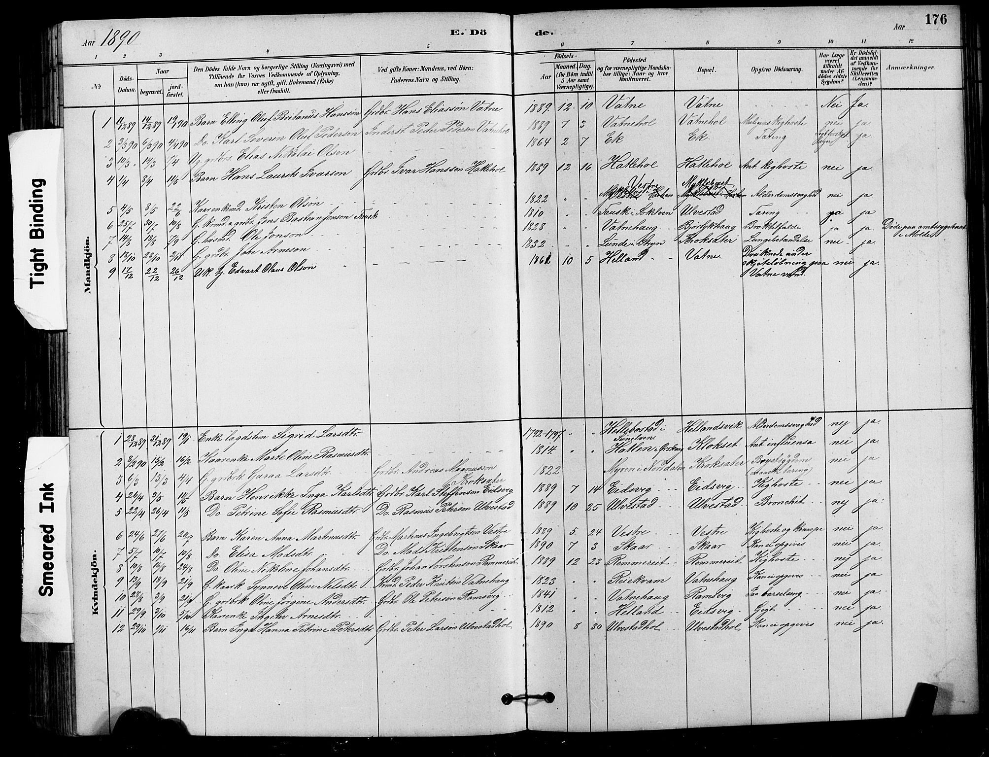 Ministerialprotokoller, klokkerbøker og fødselsregistre - Møre og Romsdal, AV/SAT-A-1454/525/L0376: Parish register (copy) no. 525C02, 1880-1902, p. 176