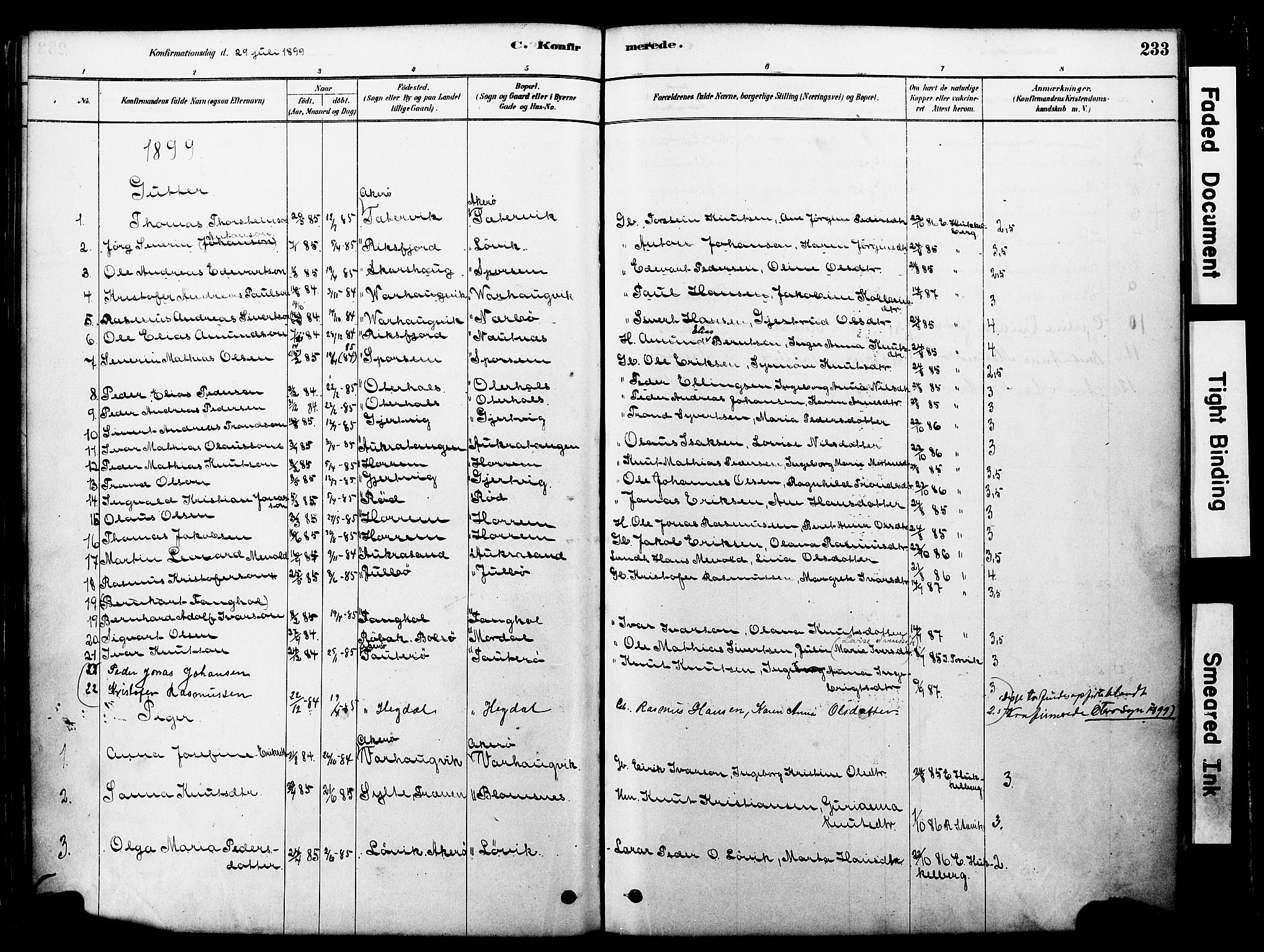Ministerialprotokoller, klokkerbøker og fødselsregistre - Møre og Romsdal, SAT/A-1454/560/L0721: Parish register (official) no. 560A05, 1878-1917, p. 233