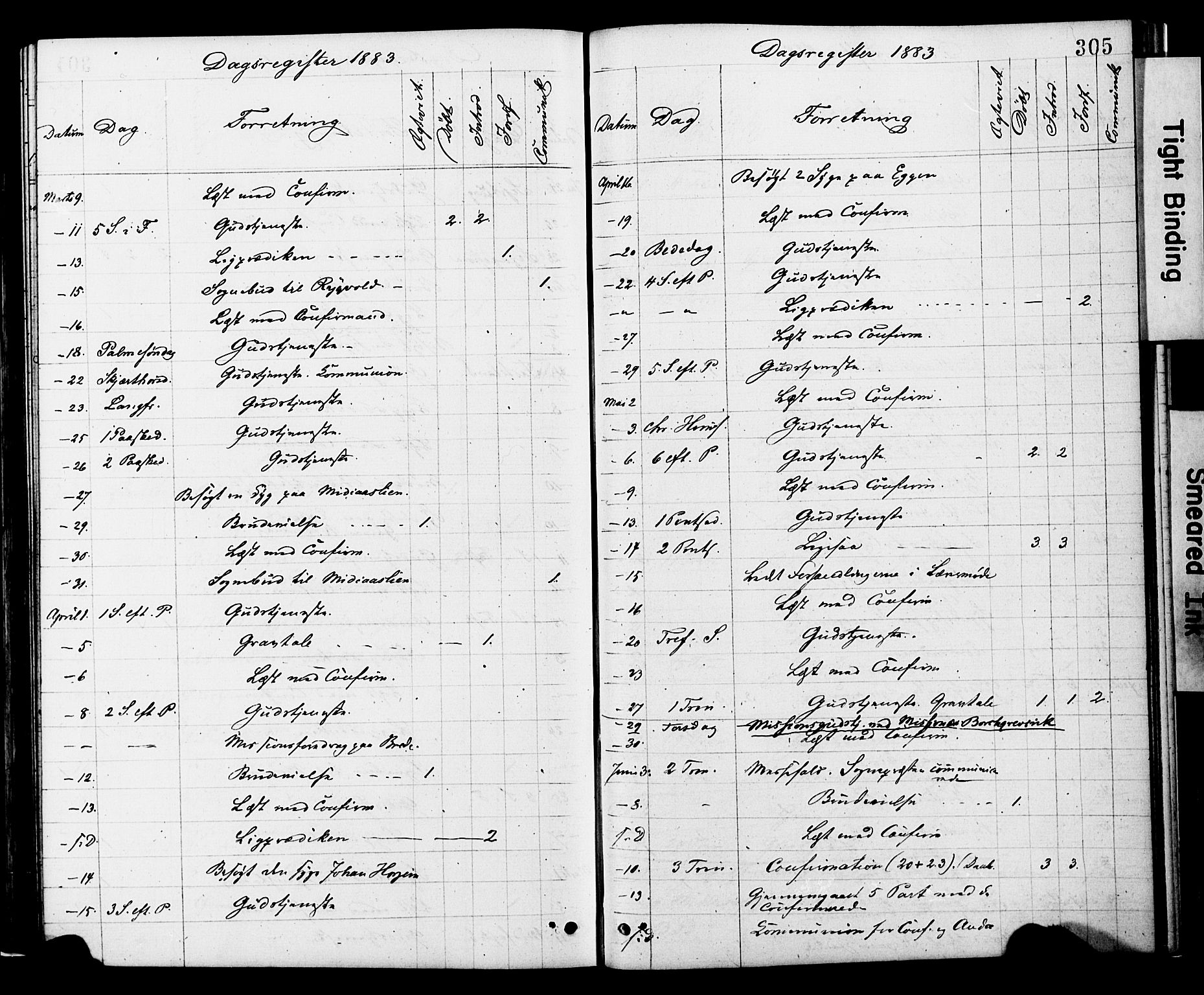 Ministerialprotokoller, klokkerbøker og fødselsregistre - Nord-Trøndelag, SAT/A-1458/749/L0473: Parish register (official) no. 749A07, 1873-1887, p. 305