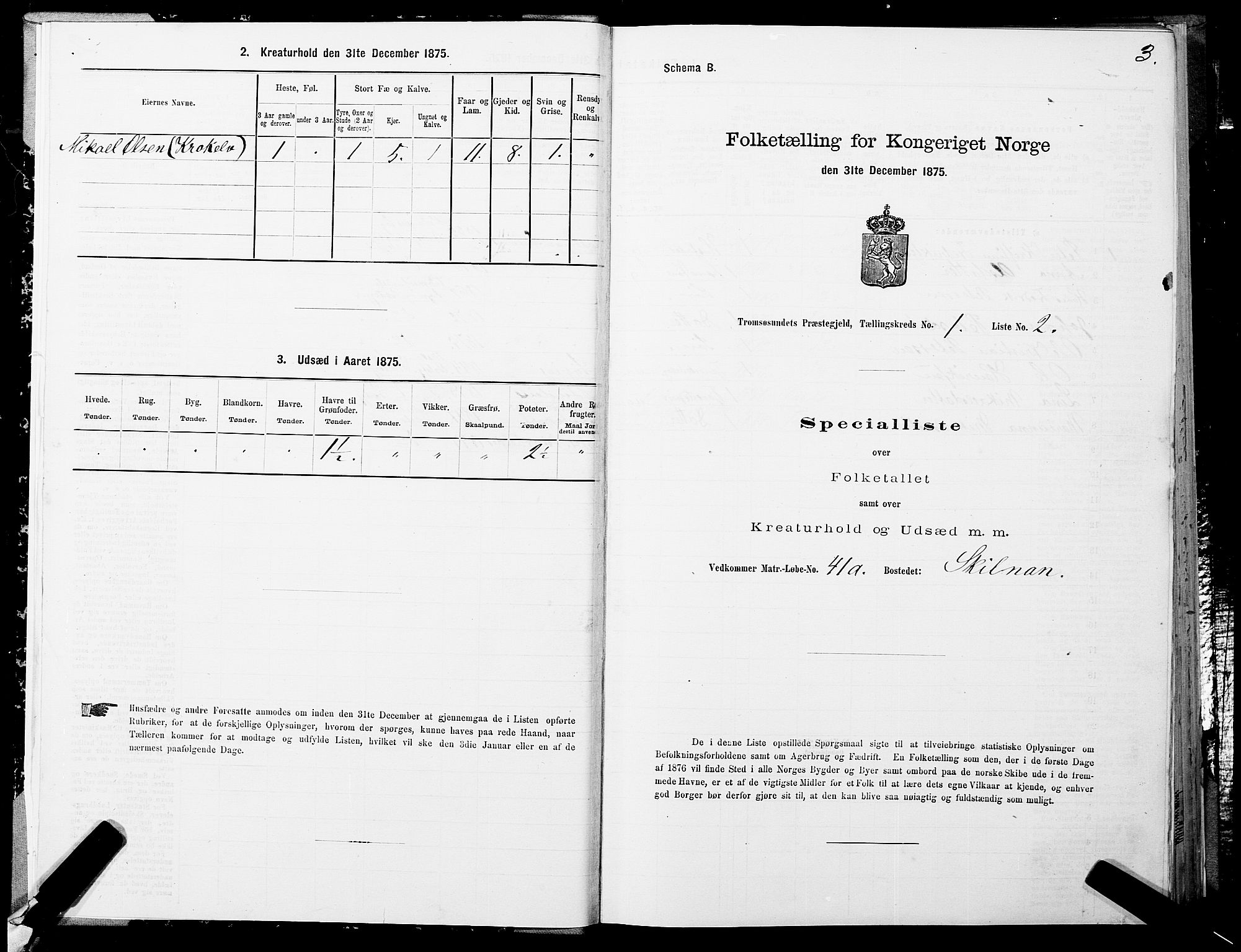 SATØ, 1875 census for 1934P Tromsøysund, 1875, p. 1003