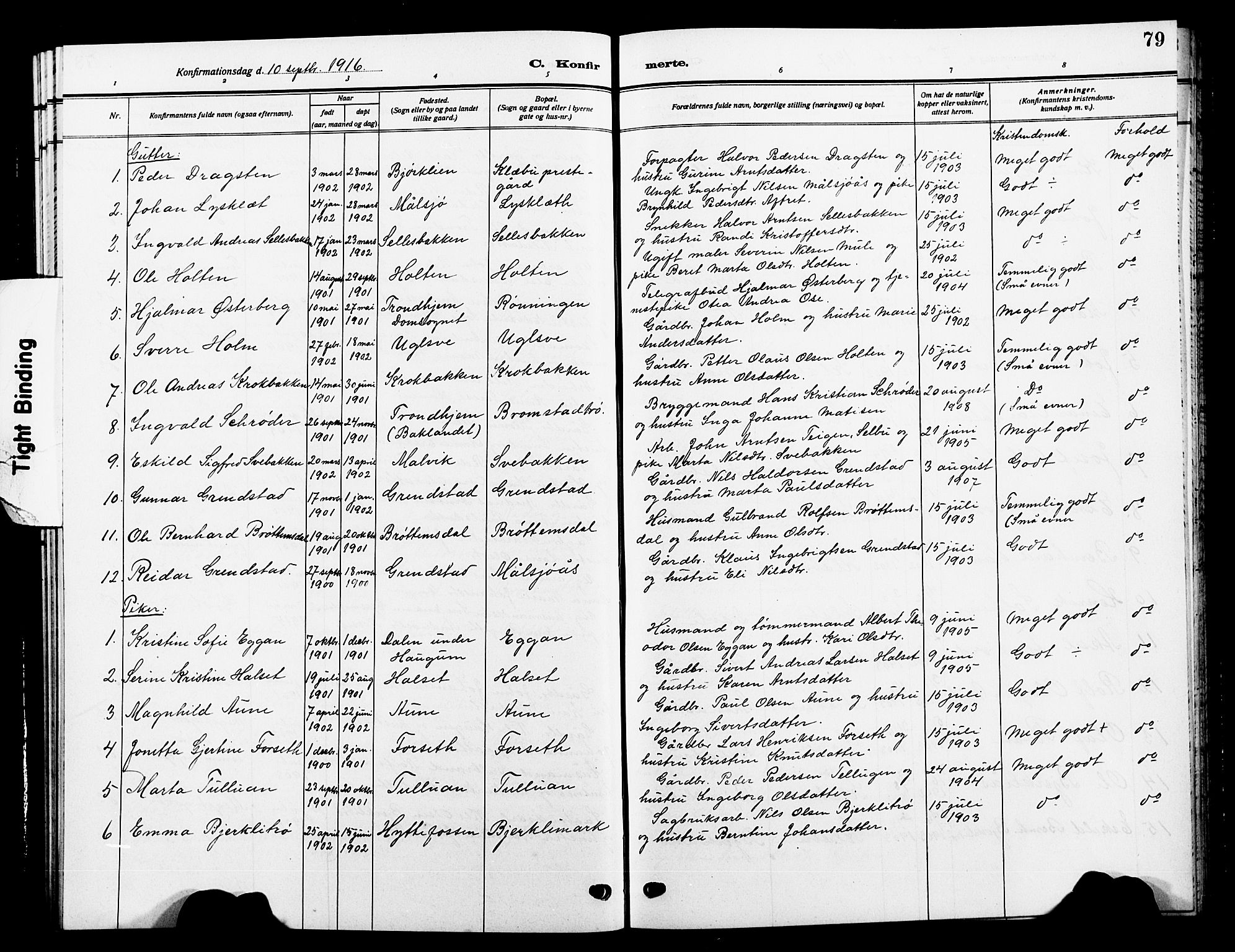 Ministerialprotokoller, klokkerbøker og fødselsregistre - Sør-Trøndelag, SAT/A-1456/618/L0453: Parish register (copy) no. 618C04, 1907-1925, p. 79