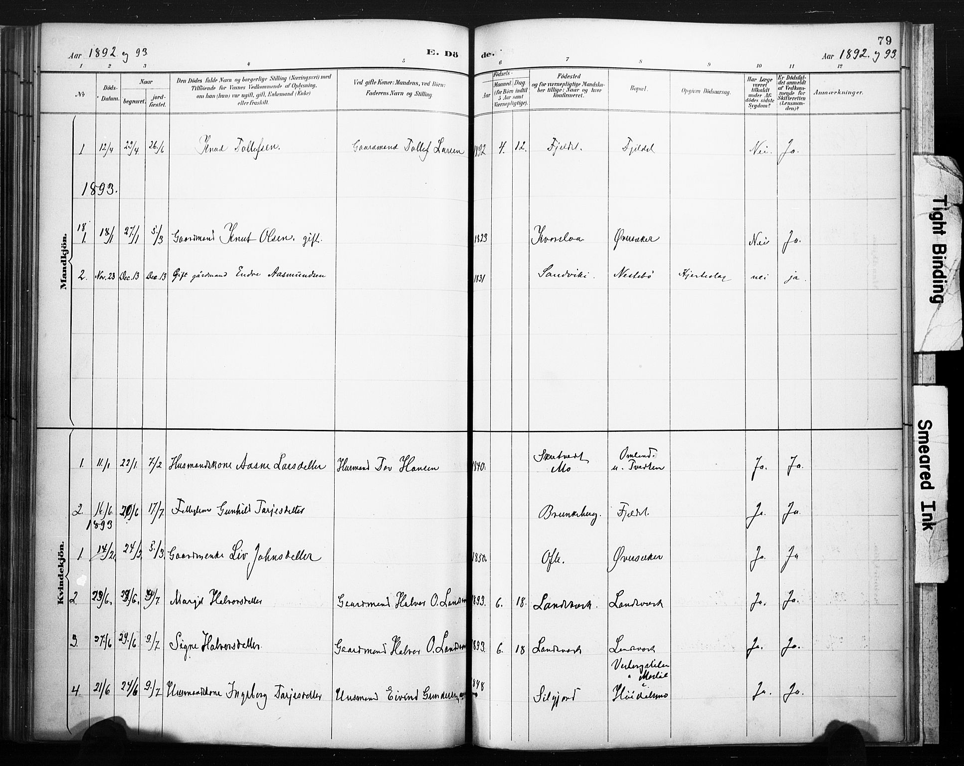 Lårdal kirkebøker, SAKO/A-284/F/Fc/L0002: Parish register (official) no. III 2, 1887-1906, p. 79