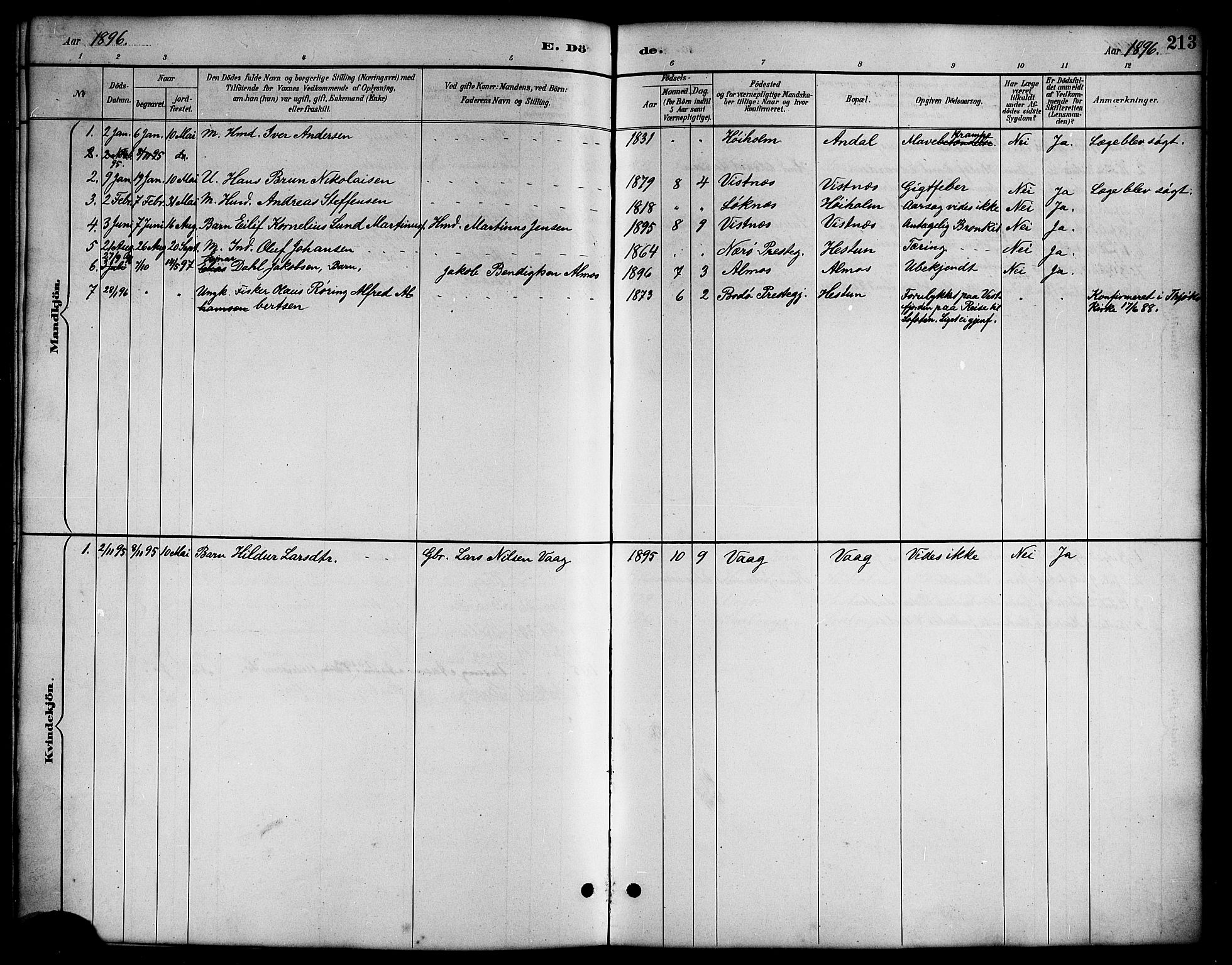 Ministerialprotokoller, klokkerbøker og fødselsregistre - Nordland, AV/SAT-A-1459/819/L0277: Parish register (copy) no. 819C03, 1888-1917, p. 213