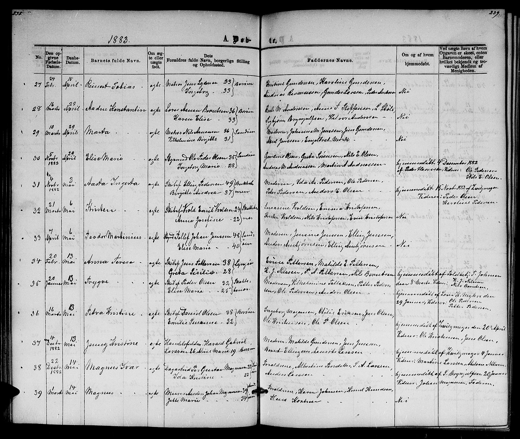 Dypvåg sokneprestkontor, AV/SAK-1111-0007/F/Fb/Fba/L0012: Parish register (copy) no. B 12, 1872-1886, p. 238-239