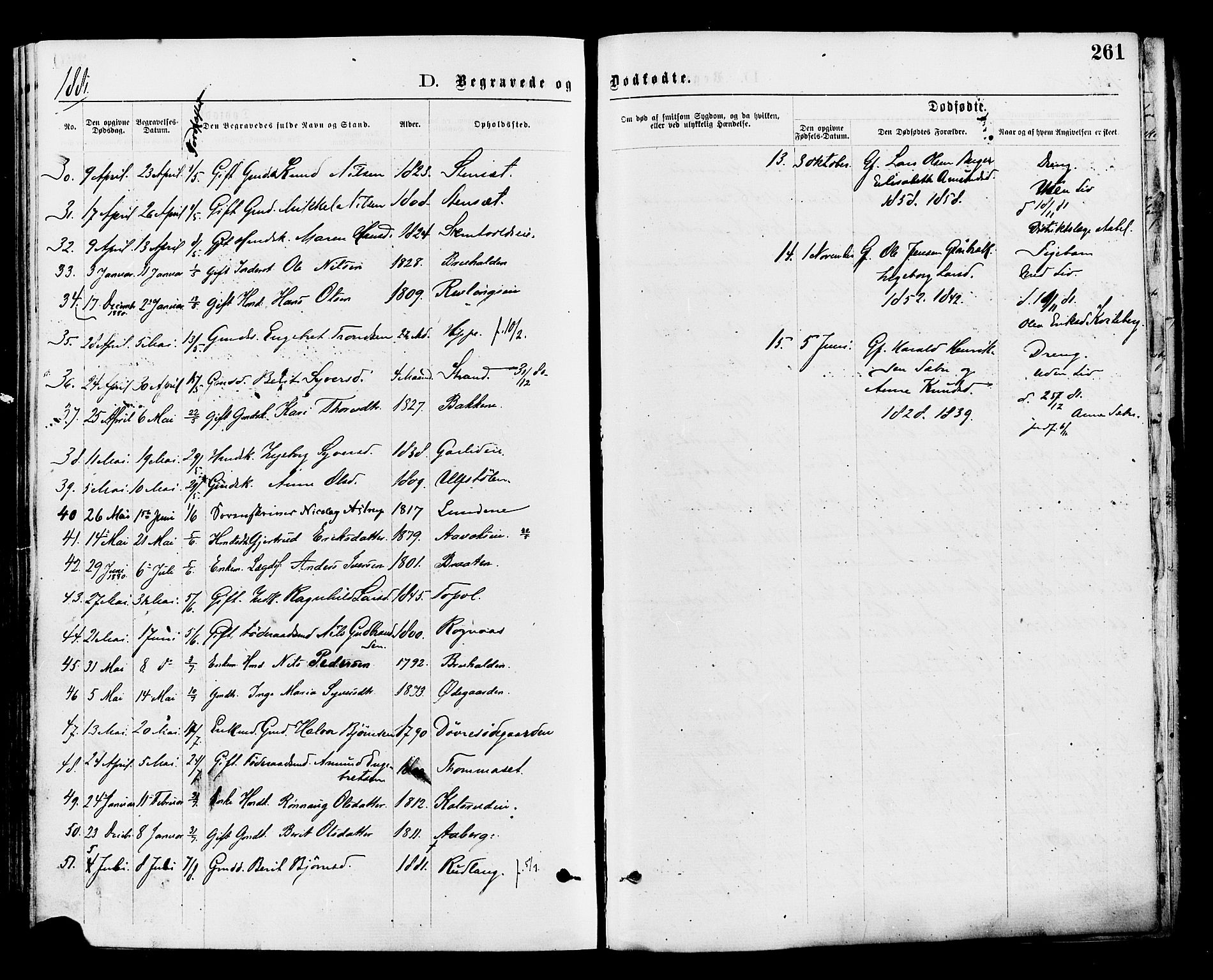 Nord-Aurdal prestekontor, SAH/PREST-132/H/Ha/Haa/L0009: Parish register (official) no. 9, 1876-1882, p. 261
