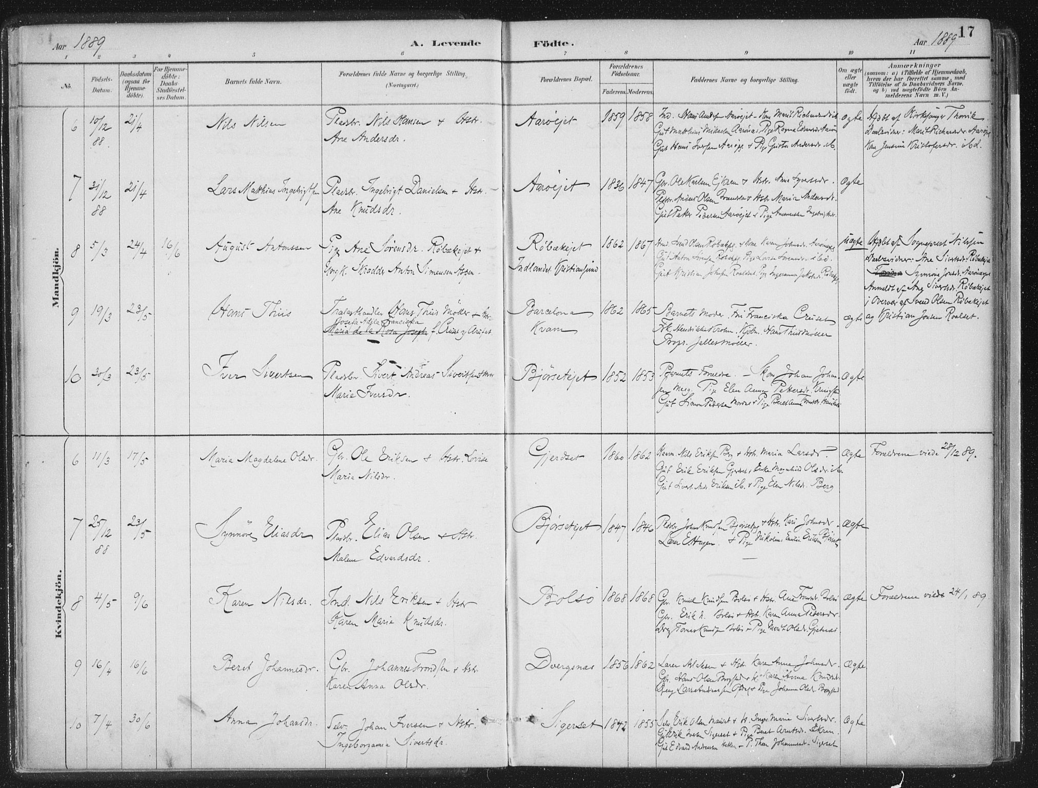 Ministerialprotokoller, klokkerbøker og fødselsregistre - Møre og Romsdal, AV/SAT-A-1454/555/L0658: Parish register (official) no. 555A09, 1887-1917, p. 17