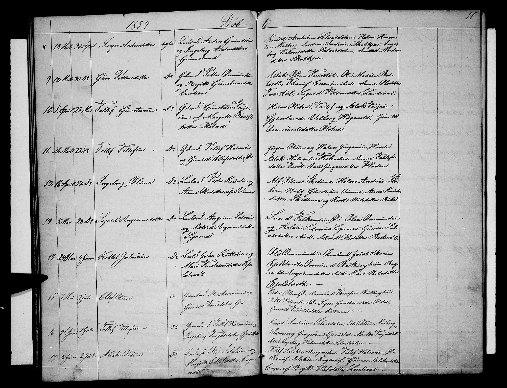 Åmli sokneprestkontor, SAK/1111-0050/F/Fb/Fbc/L0002: Parish register (copy) no. B 2, 1850-1867, p. 17