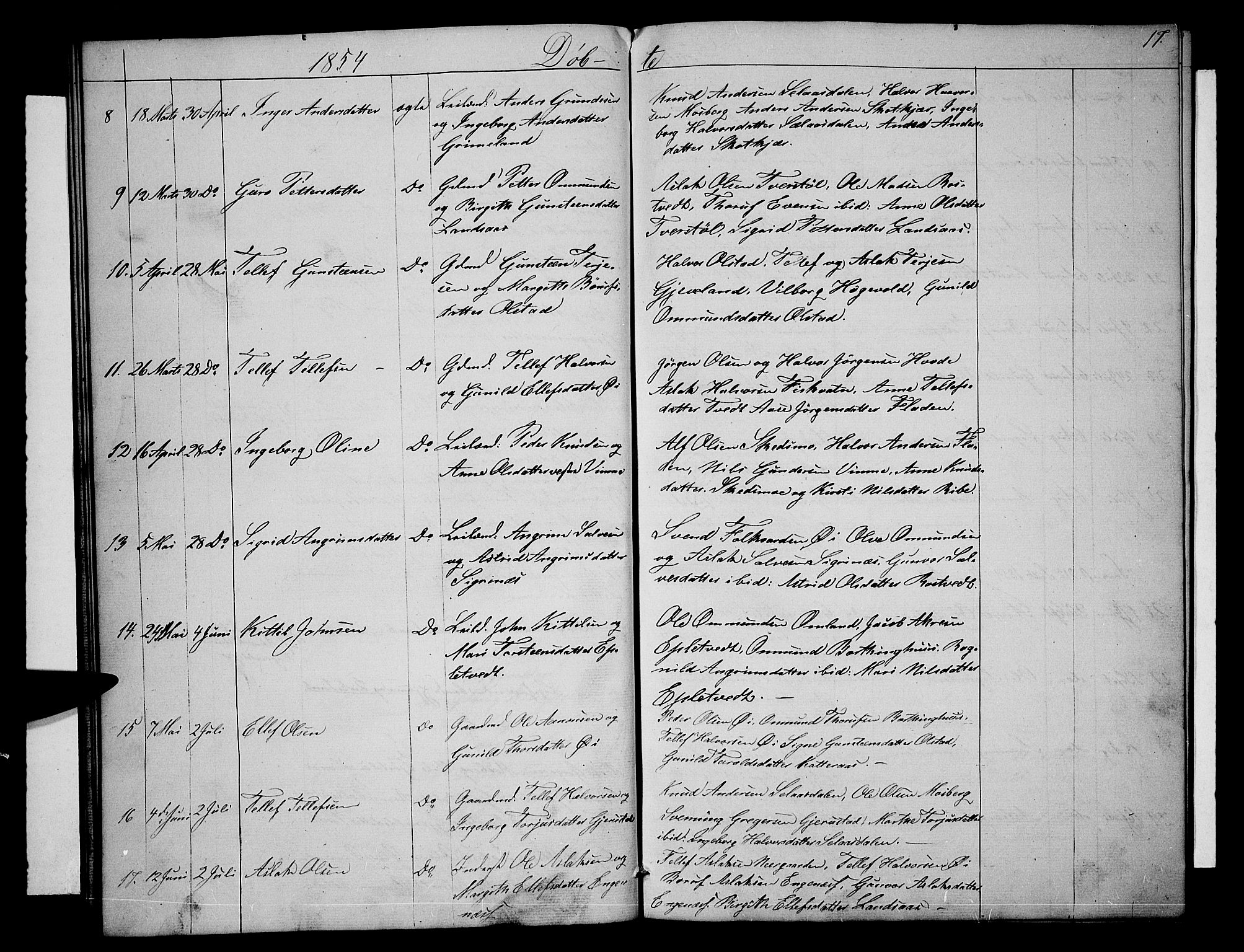 Åmli sokneprestkontor, AV/SAK-1111-0050/F/Fb/Fbc/L0002: Parish register (copy) no. B 2, 1850-1867, p. 17