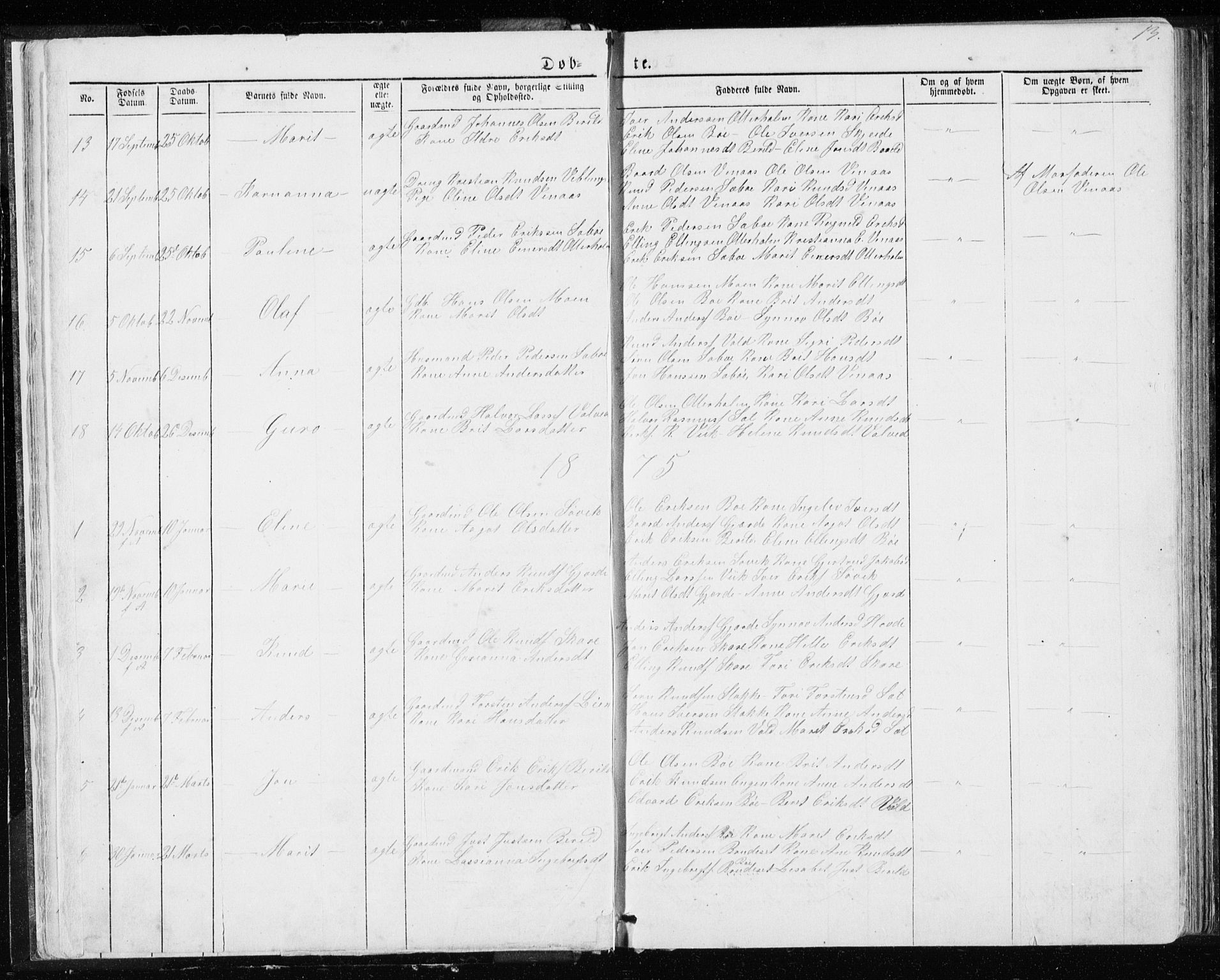 Ministerialprotokoller, klokkerbøker og fødselsregistre - Møre og Romsdal, AV/SAT-A-1454/543/L0564: Parish register (copy) no. 543C02, 1867-1915, p. 13