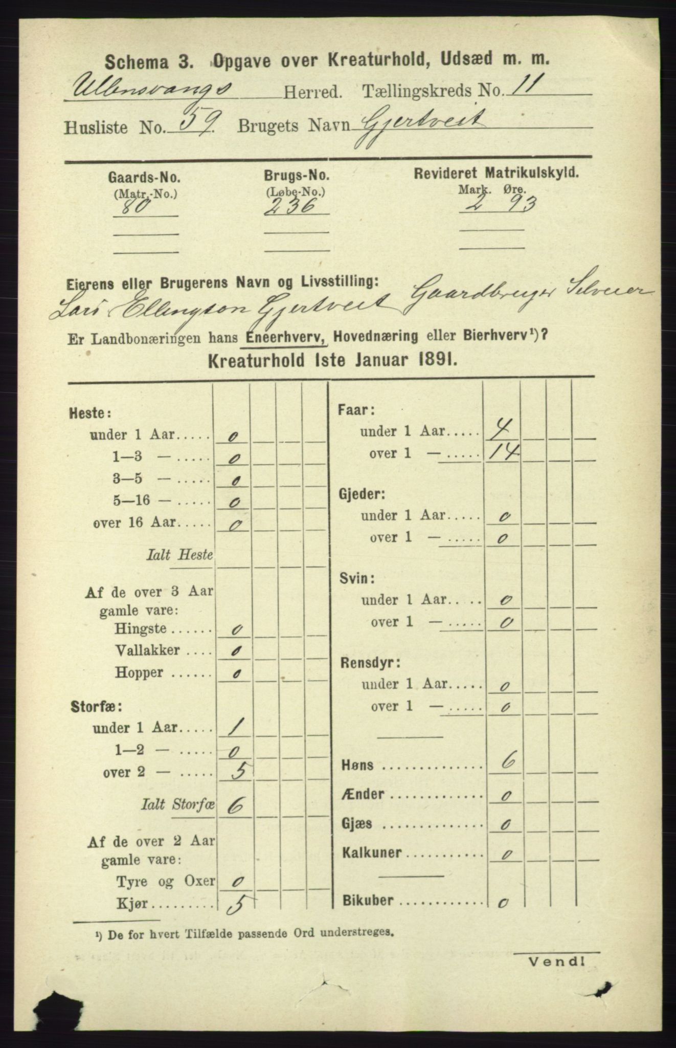 RA, 1891 census for 1230 Ullensvang, 1891, p. 8017