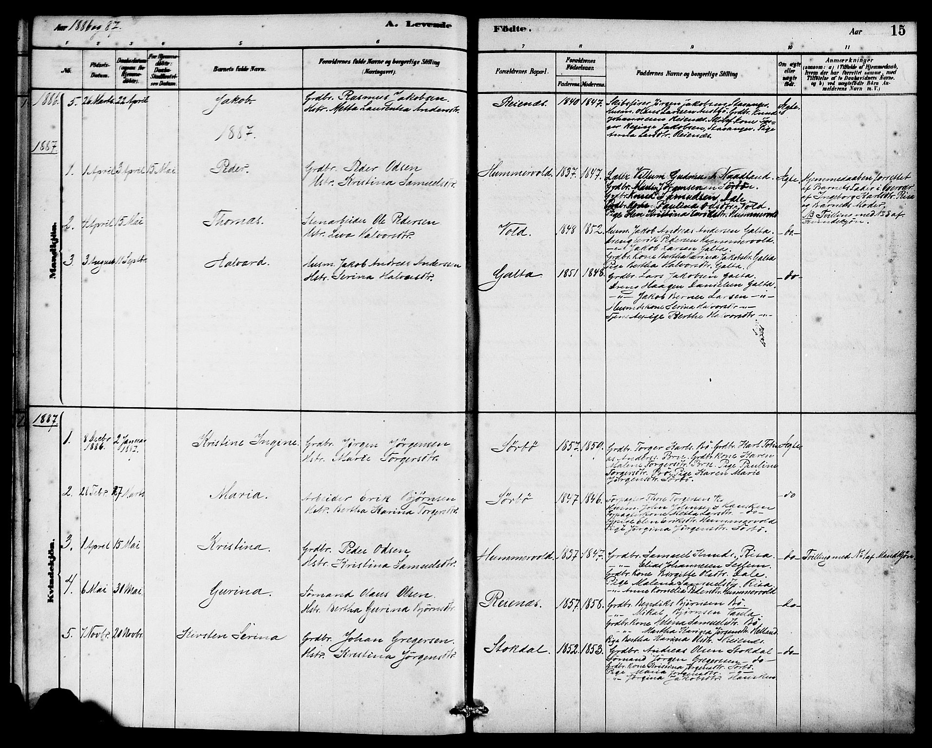 Rennesøy sokneprestkontor, AV/SAST-A -101827/H/Ha/Haa/L0008: Parish register (official) no. A 8, 1878-1890, p. 15