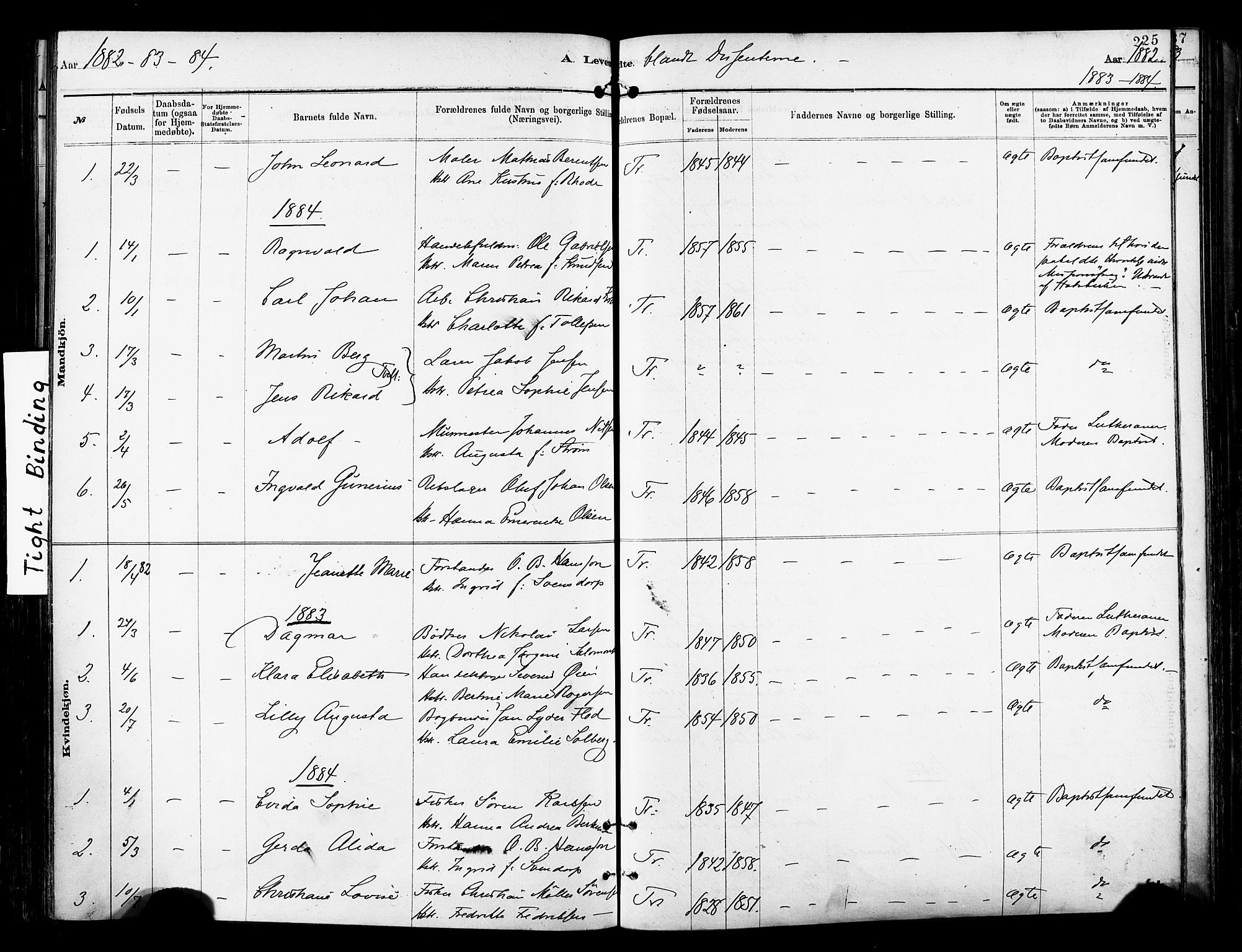 Tromsø sokneprestkontor/stiftsprosti/domprosti, SATØ/S-1343/G/Ga/L0014kirke: Parish register (official) no. 14, 1878-1888, p. 225