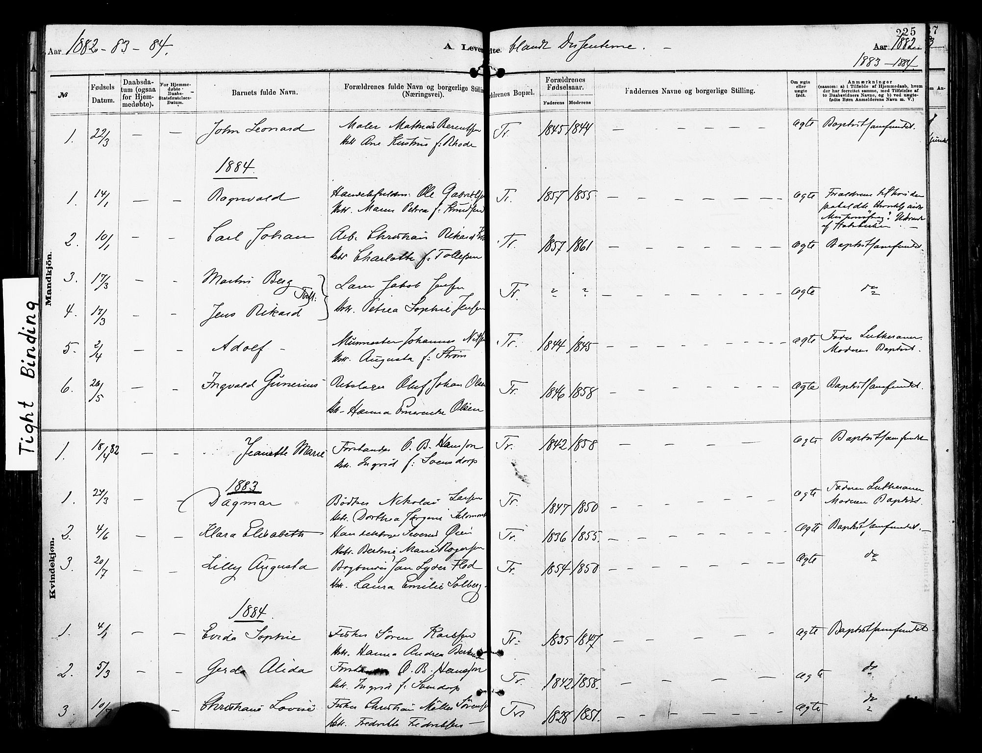 Tromsø sokneprestkontor/stiftsprosti/domprosti, AV/SATØ-S-1343/G/Ga/L0014kirke: Parish register (official) no. 14, 1878-1888, p. 225