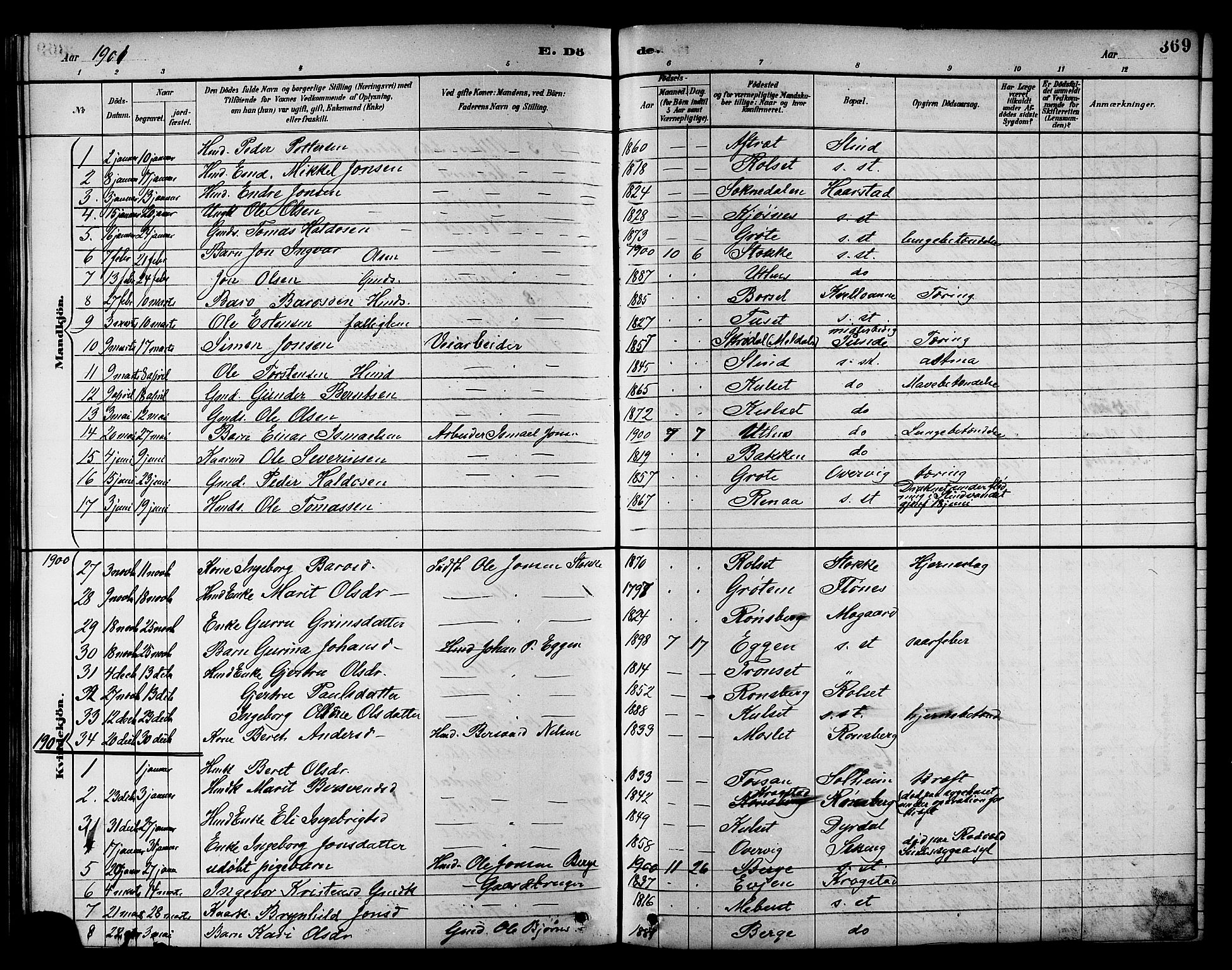 Ministerialprotokoller, klokkerbøker og fødselsregistre - Sør-Trøndelag, SAT/A-1456/695/L1157: Parish register (copy) no. 695C08, 1889-1913, p. 369