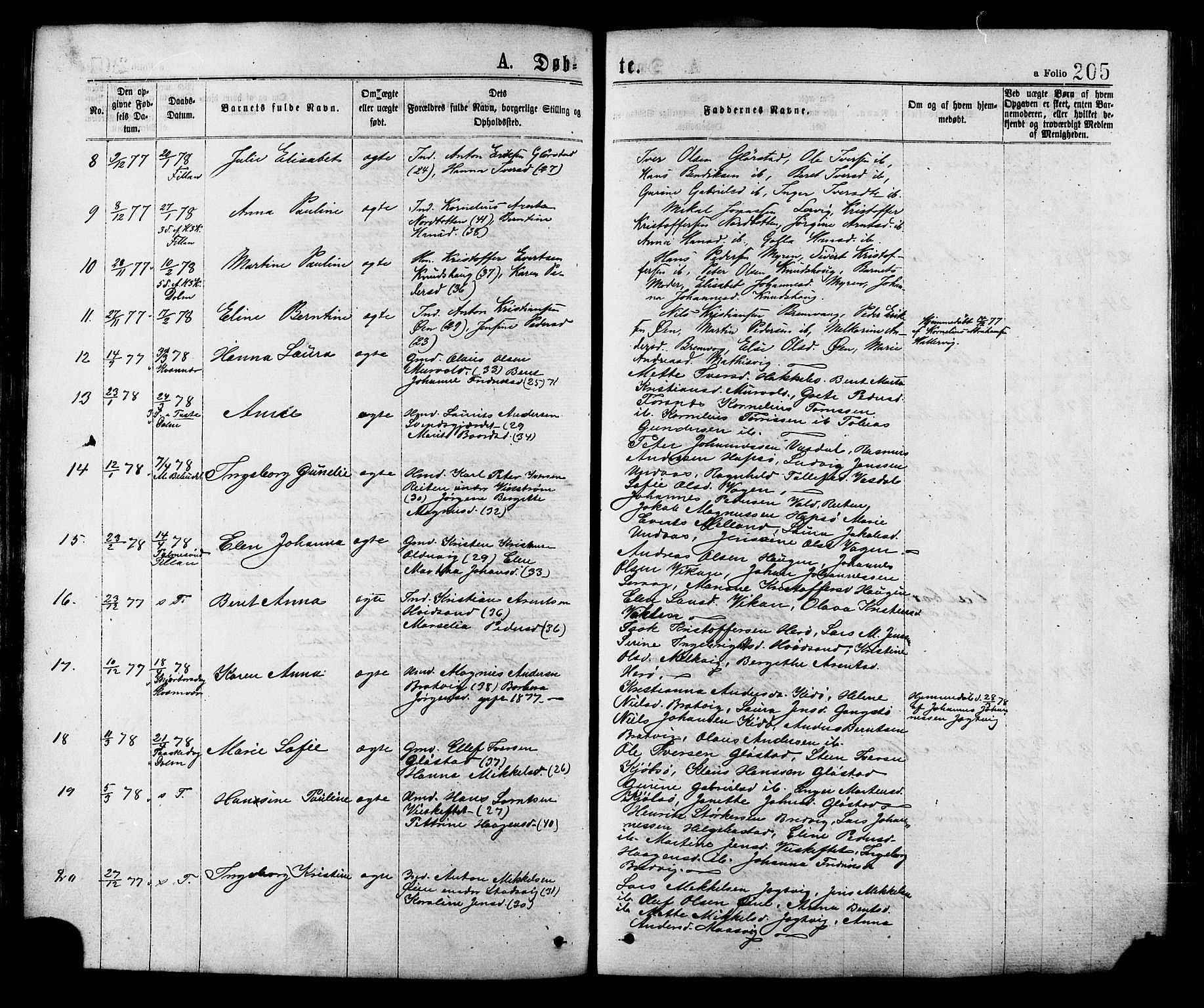 Ministerialprotokoller, klokkerbøker og fødselsregistre - Sør-Trøndelag, SAT/A-1456/634/L0532: Parish register (official) no. 634A08, 1871-1881, p. 205