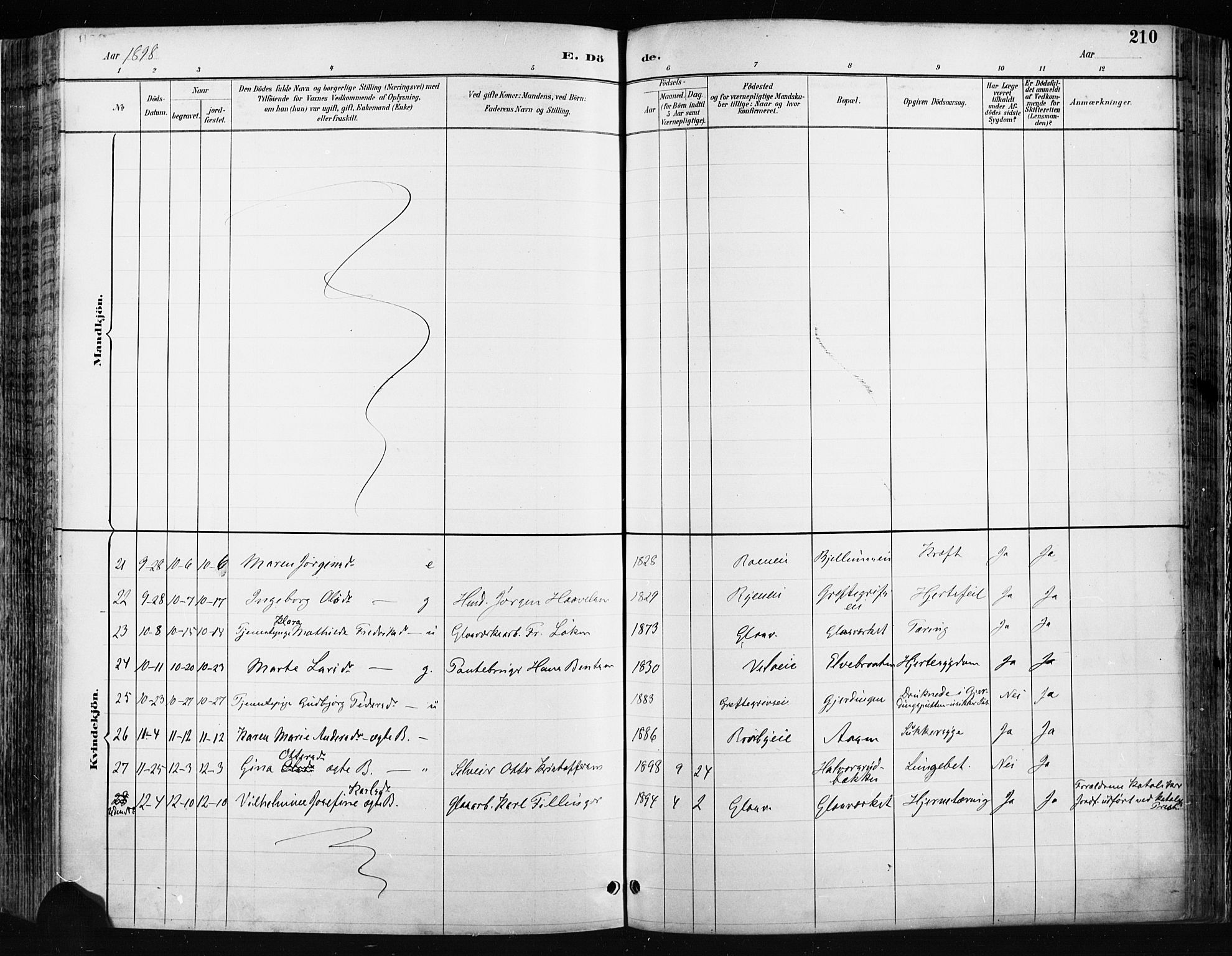 Jevnaker prestekontor, SAH/PREST-116/H/Ha/Haa/L0009: Parish register (official) no. 9, 1891-1901, p. 210