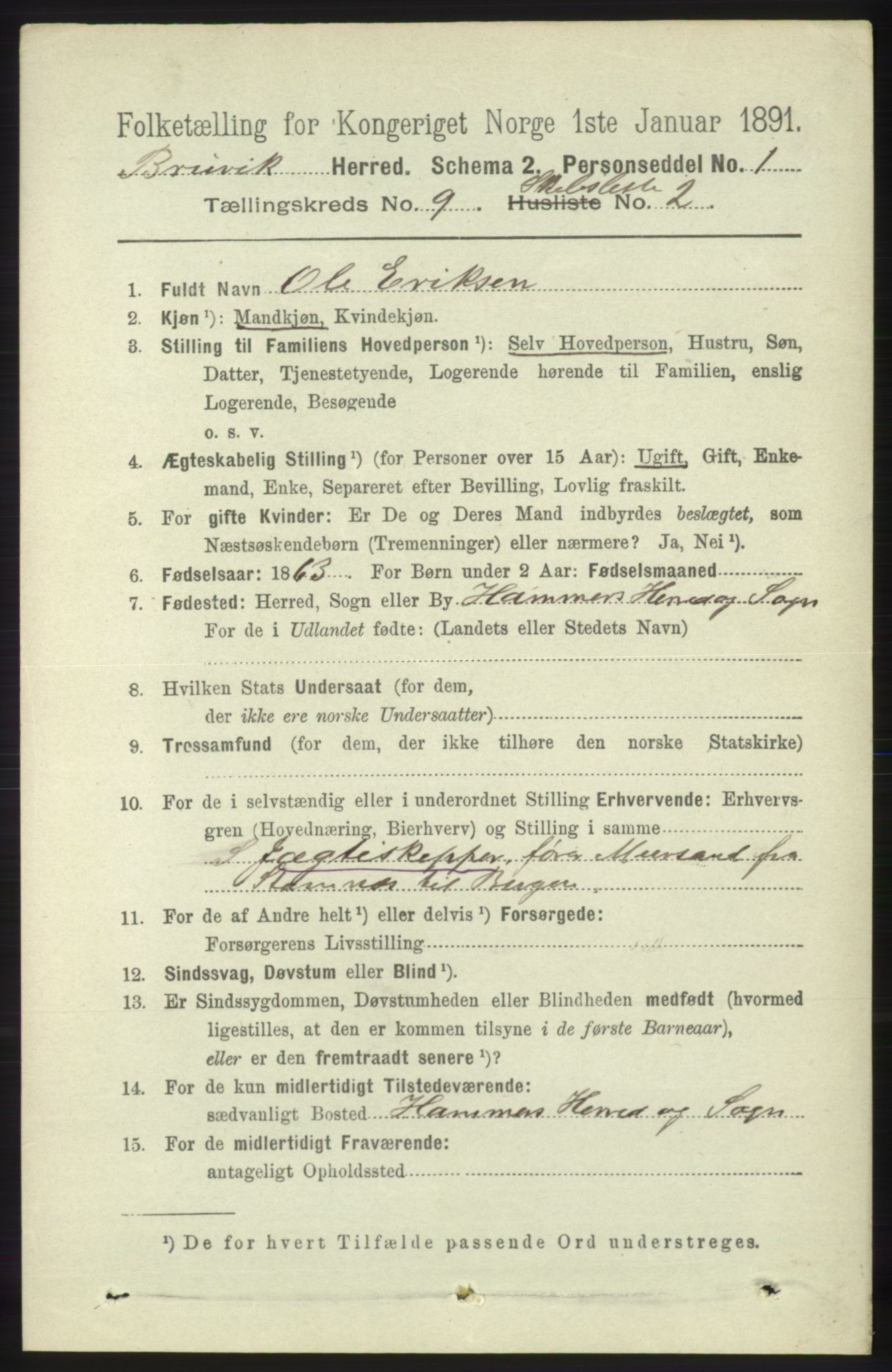 RA, 1891 census for 1251 Bruvik, 1891, p. 4144