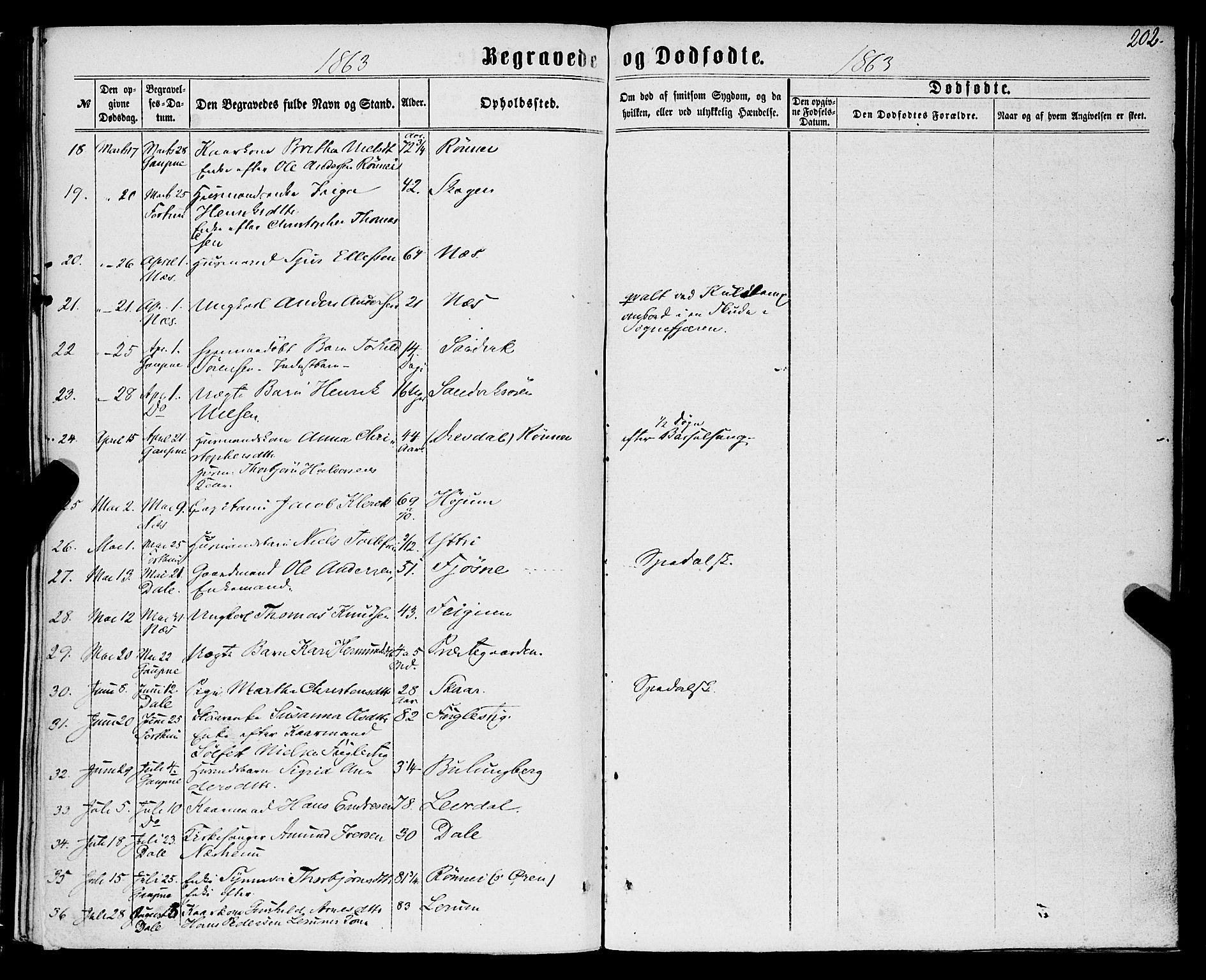 Luster sokneprestembete, SAB/A-81101/H/Haa/Haaa/L0008: Parish register (official) no. A 8, 1860-1870, p. 202