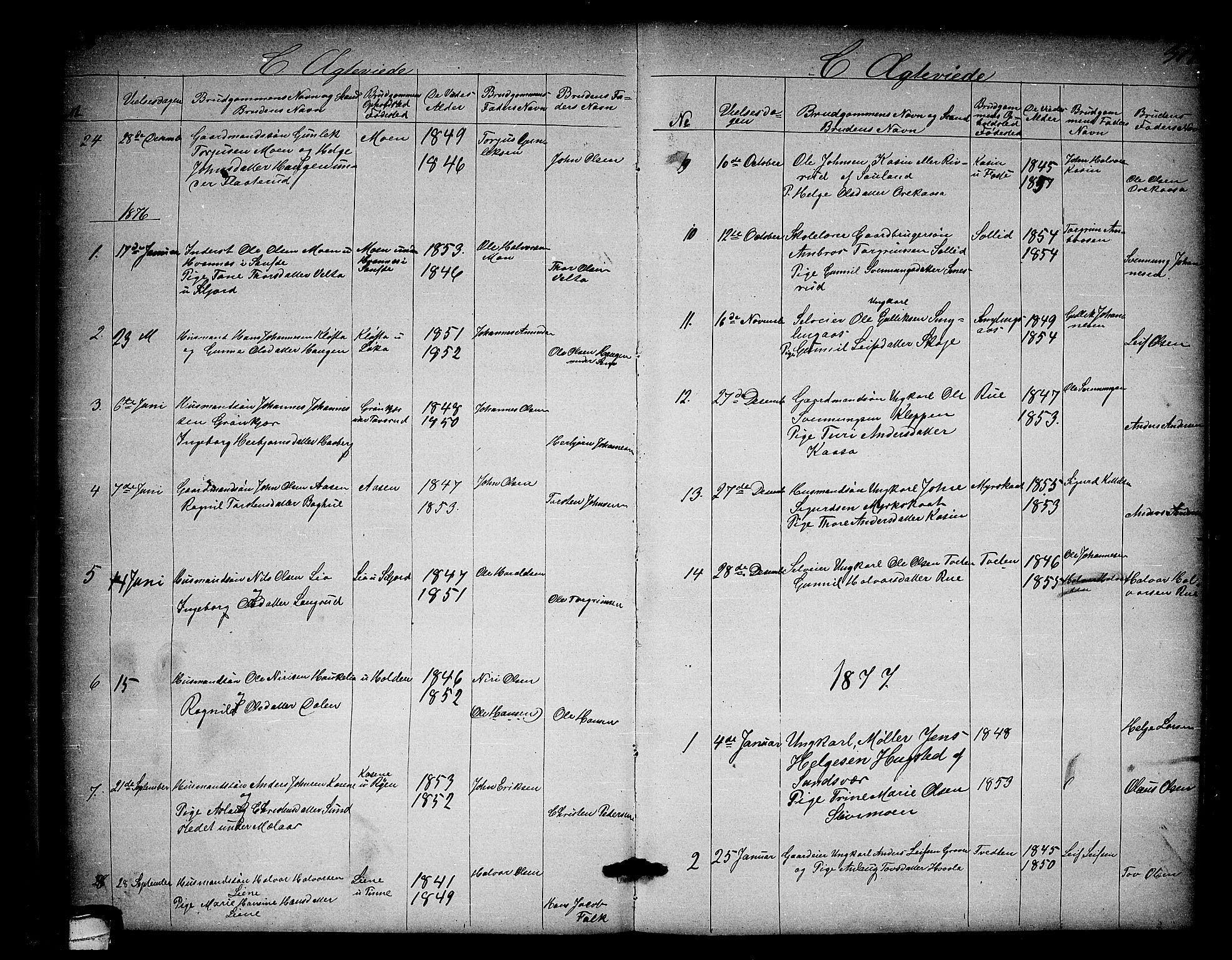 Heddal kirkebøker, SAKO/A-268/G/Ga/L0001: Parish register (copy) no. I 1, 1866-1878, p. 316-317