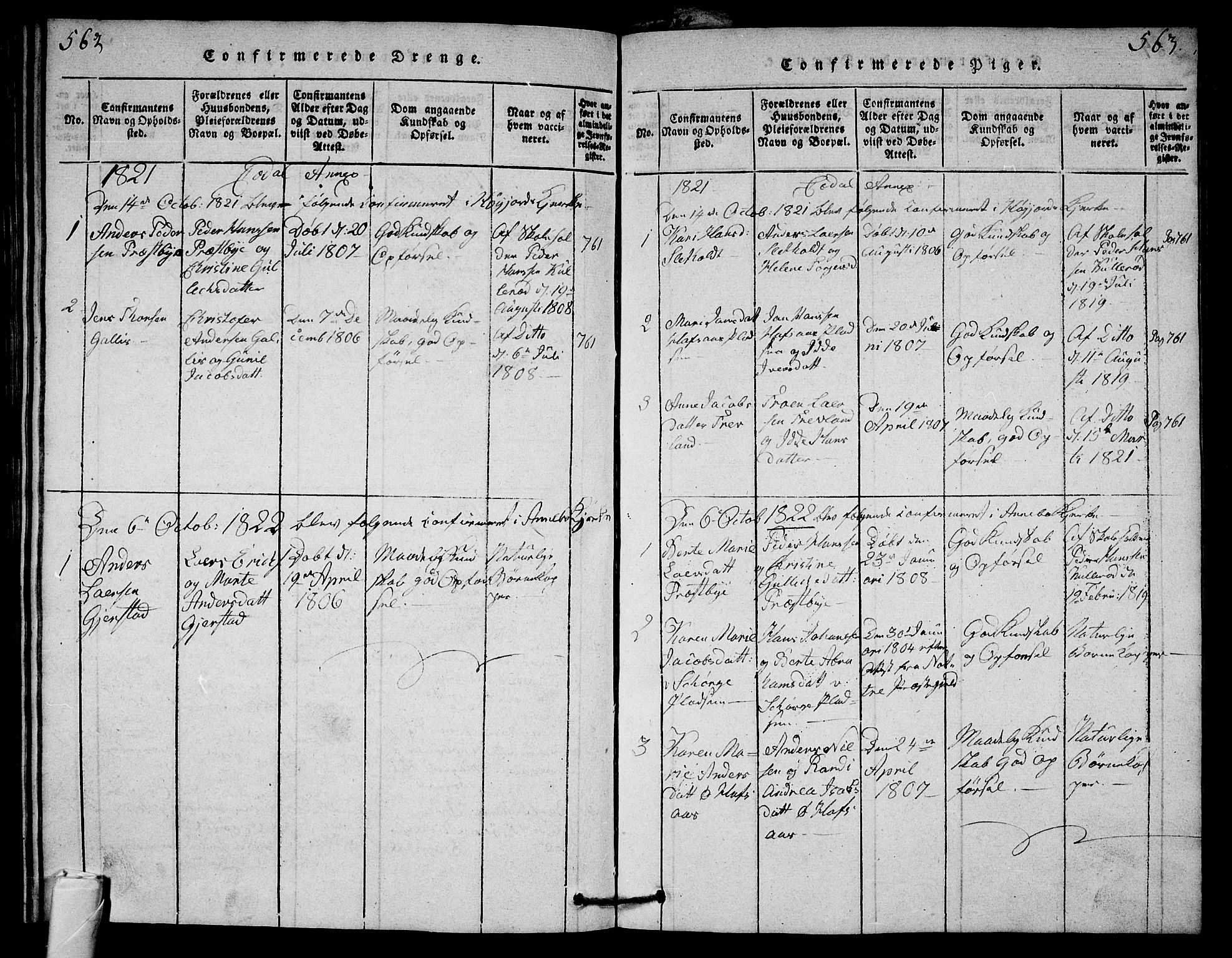 Andebu kirkebøker, AV/SAKO-A-336/G/Ga/L0001: Parish register (copy) no. I 1 /3, 1815-1823, p. 562-563