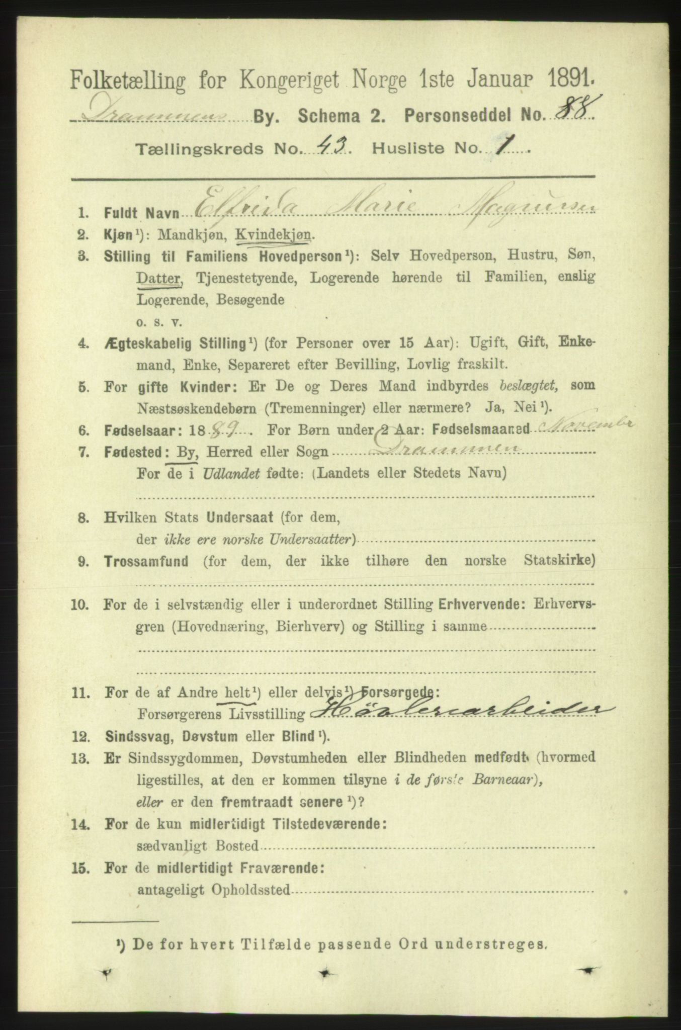 RA, 1891 census for 0602 Drammen, 1891, p. 25126