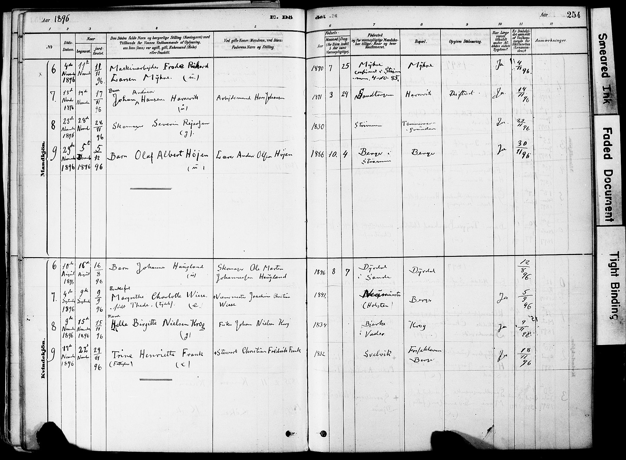 Strømm kirkebøker, AV/SAKO-A-322/F/Fa/L0004: Parish register (official) no. I 4, 1878-1899, p. 254