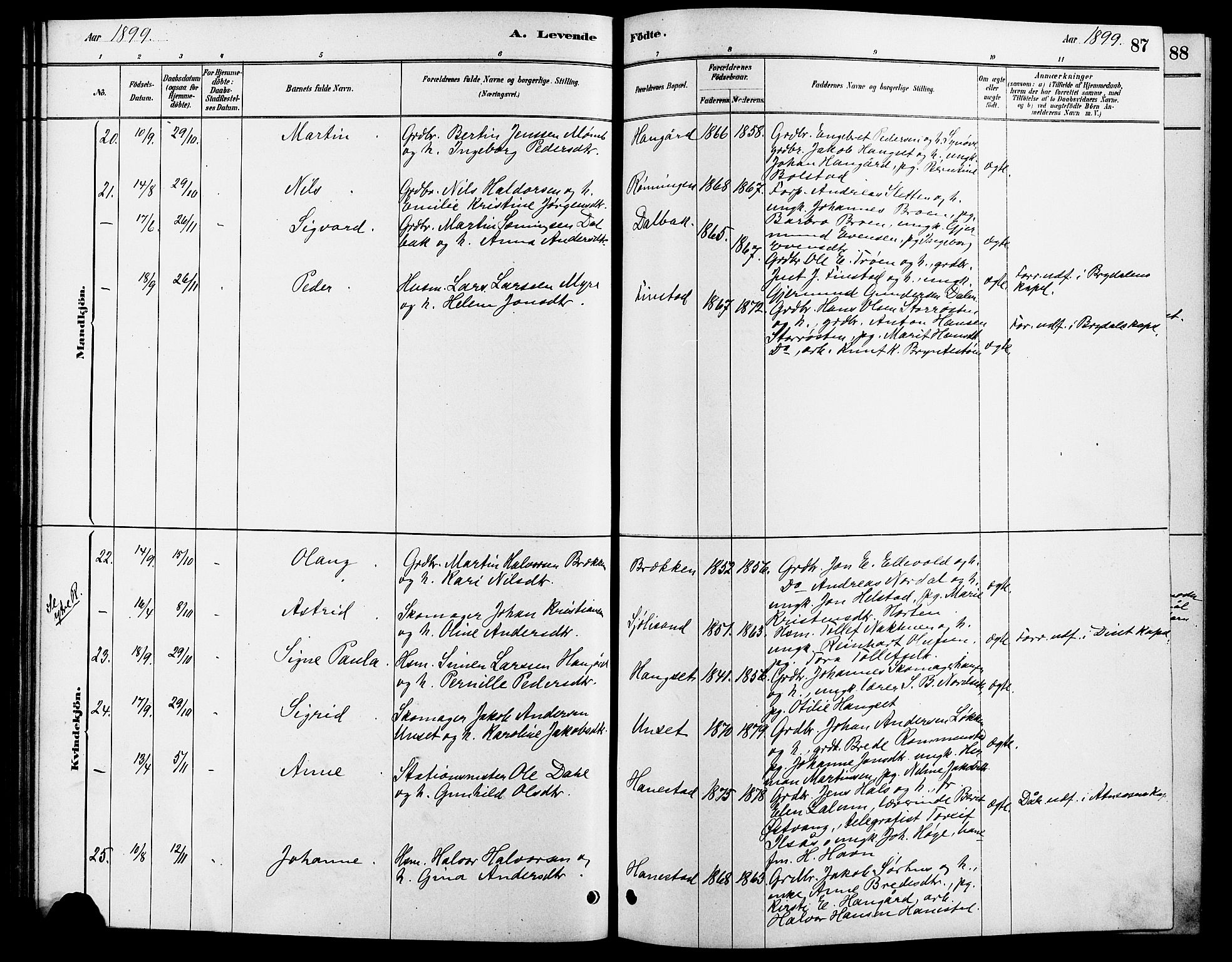 Rendalen prestekontor, SAH/PREST-054/H/Ha/Hab/L0003: Parish register (copy) no. 3, 1879-1904, p. 87