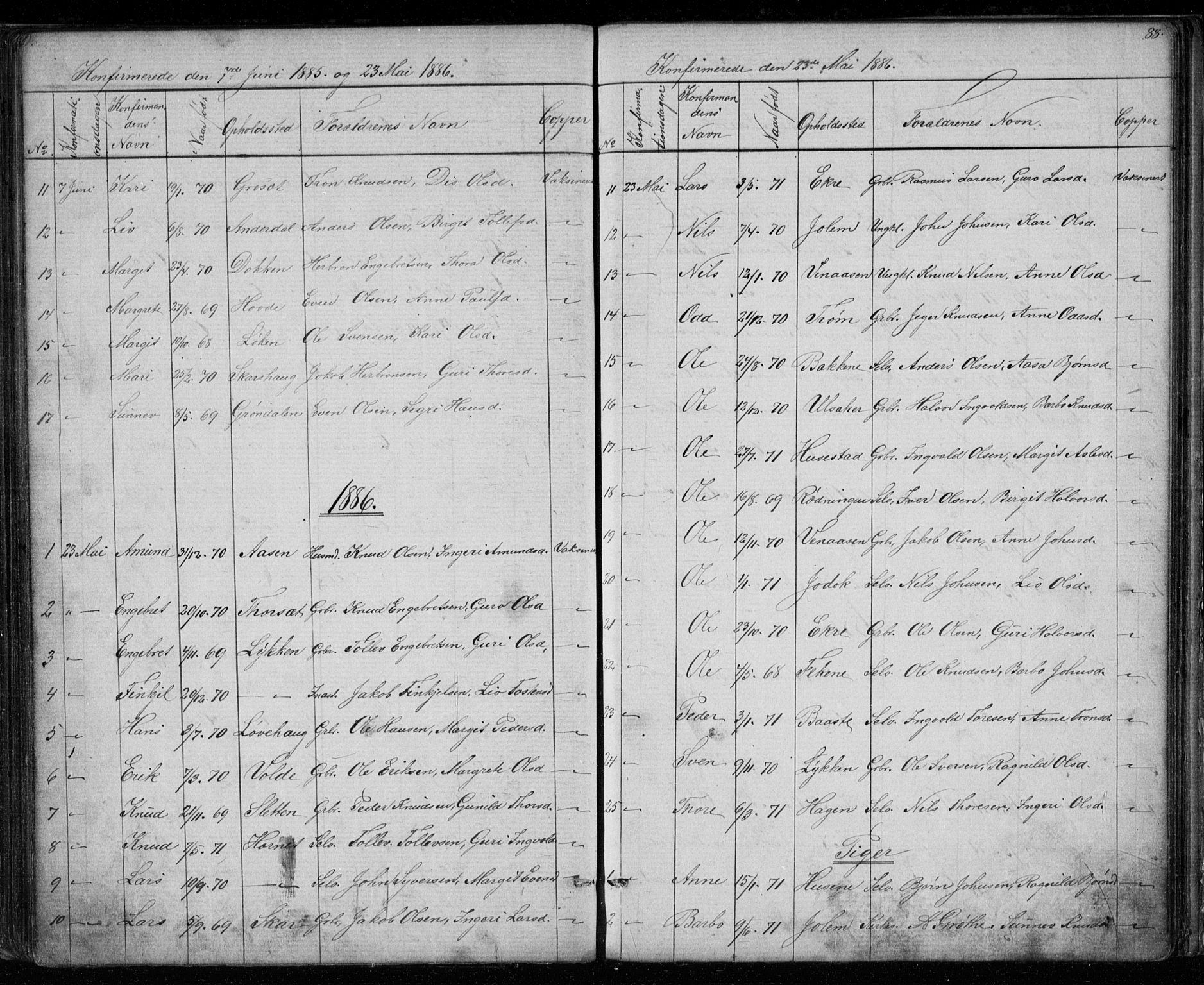 Gol kirkebøker, AV/SAKO-A-226/G/Gb/L0005: Parish register (copy) no. II 5, 1875-1891, p. 88