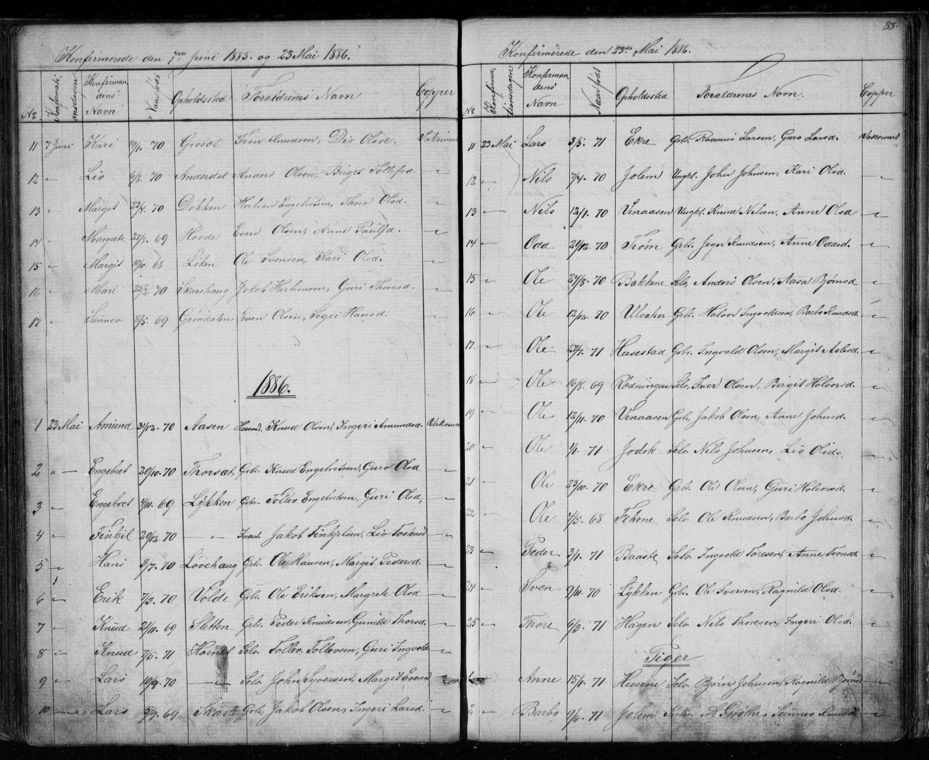 Gol kirkebøker, SAKO/A-226/G/Gb/L0005: Parish register (copy) no. II 5, 1875-1891, p. 88