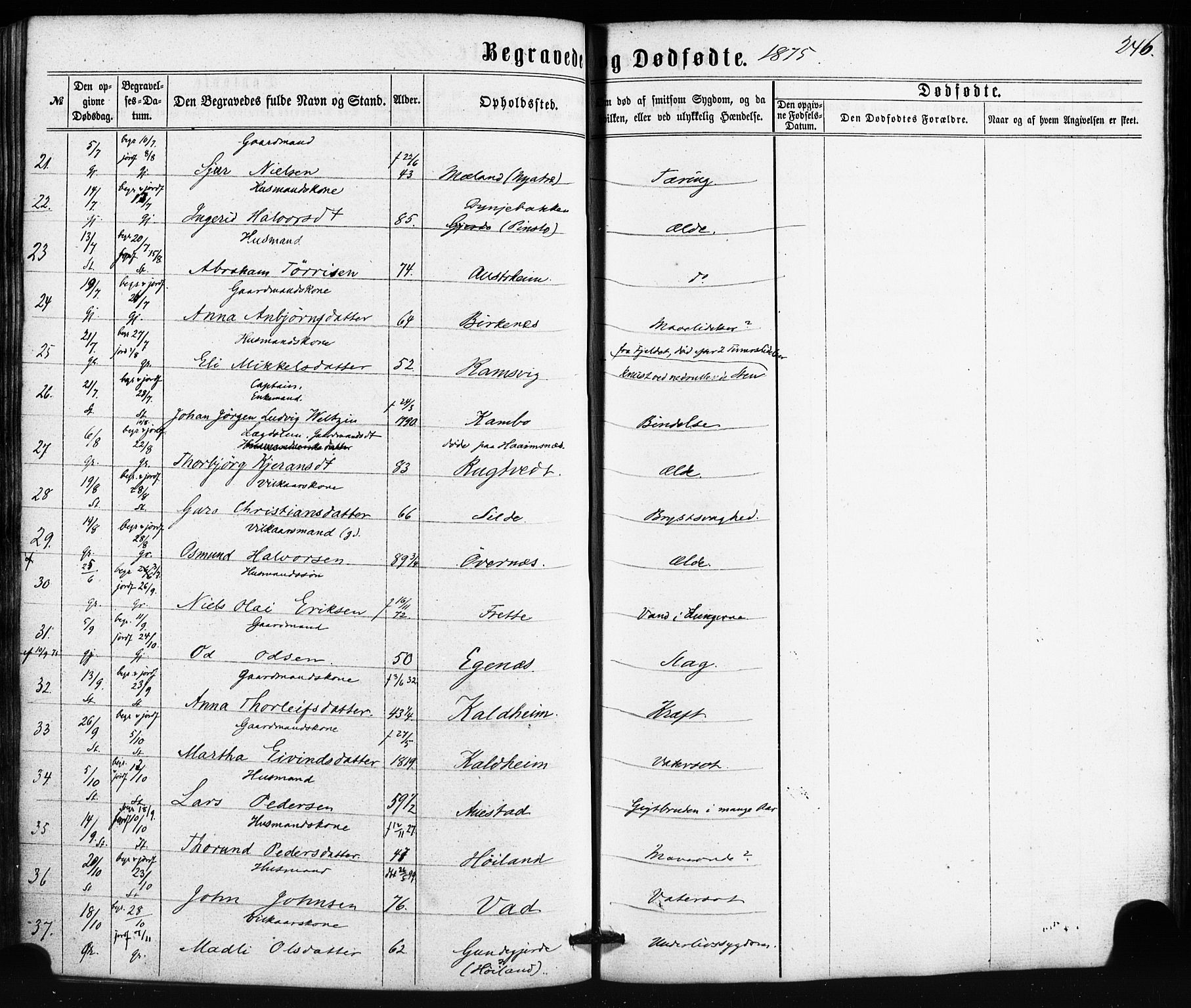 Etne sokneprestembete, SAB/A-75001/H/Haa: Parish register (official) no. A 9, 1862-1878, p. 246