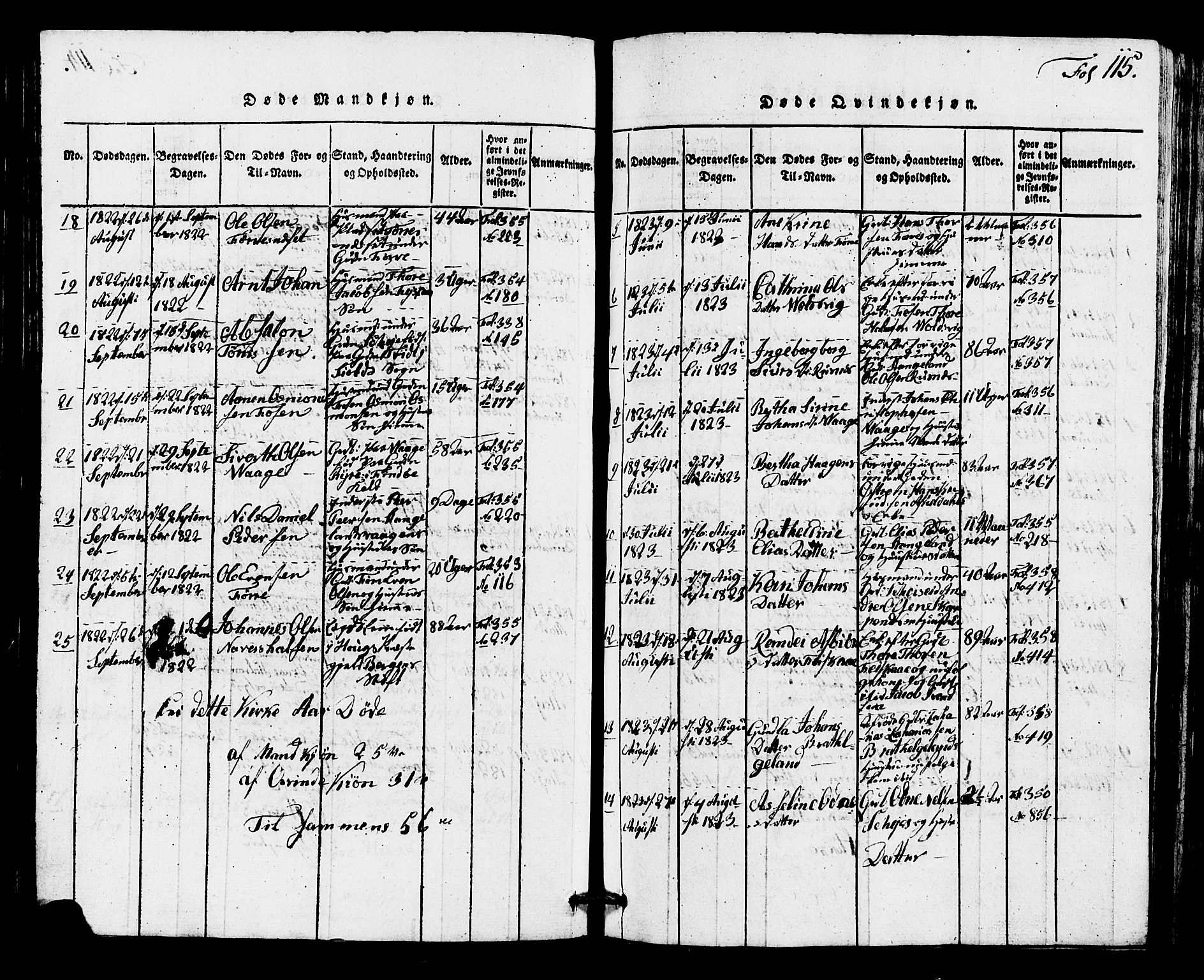 Avaldsnes sokneprestkontor, AV/SAST-A -101851/H/Ha/Hab/L0001: Parish register (copy) no. B 1, 1816-1825, p. 115