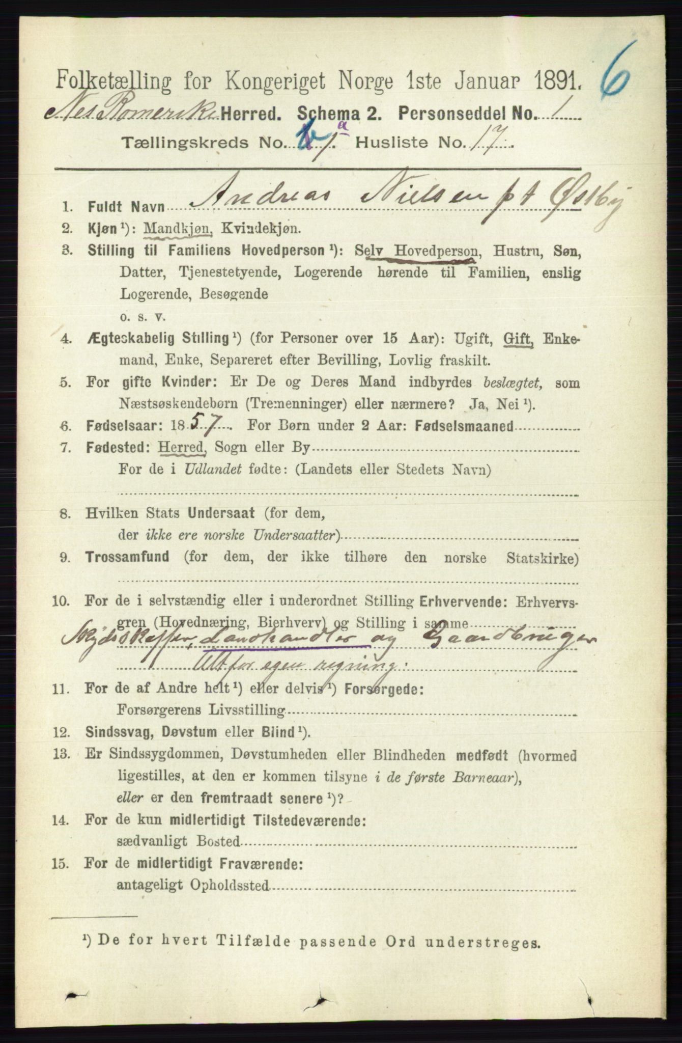 RA, 1891 census for 0236 Nes, 1891, p. 216