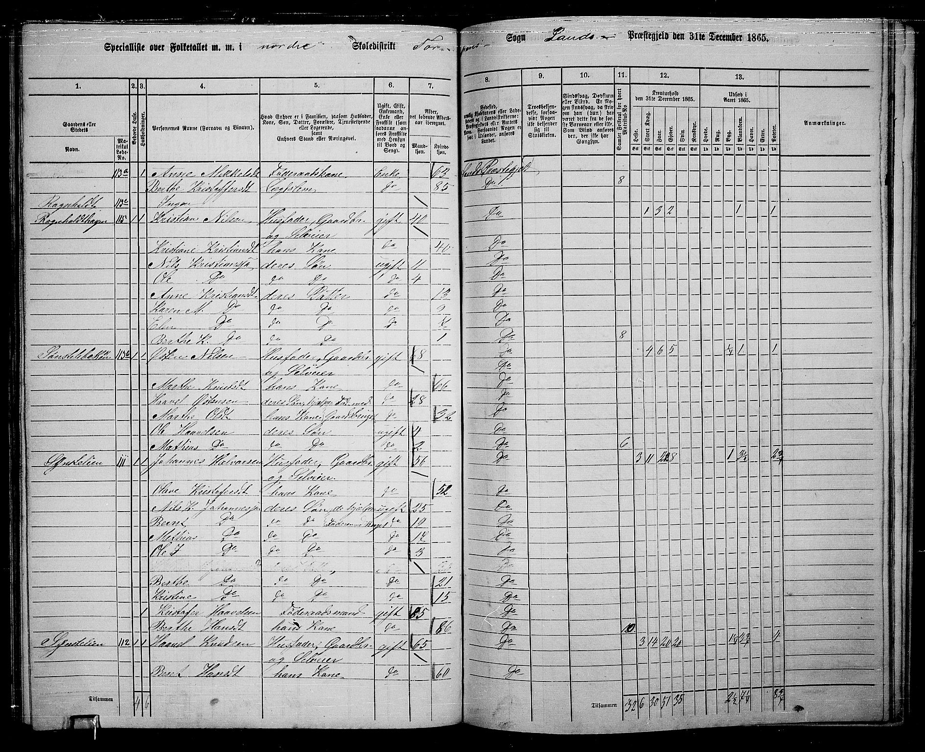 RA, 1865 census for Land, 1865, p. 164
