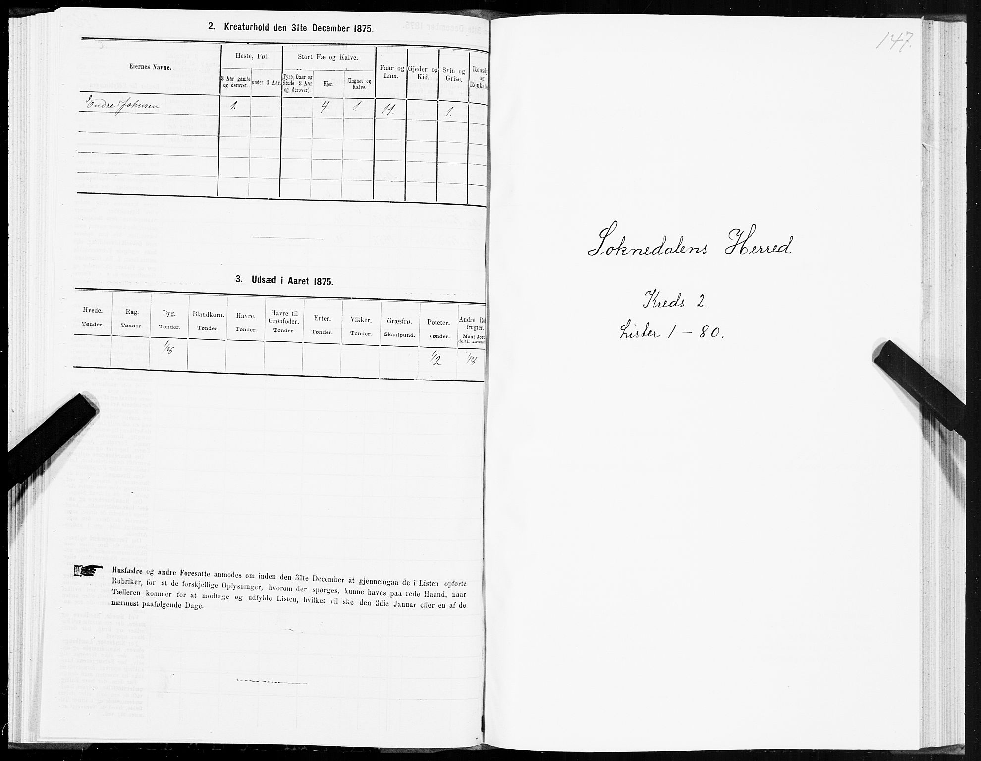 SAT, 1875 census for 1648P Støren, 1875, p. 7147