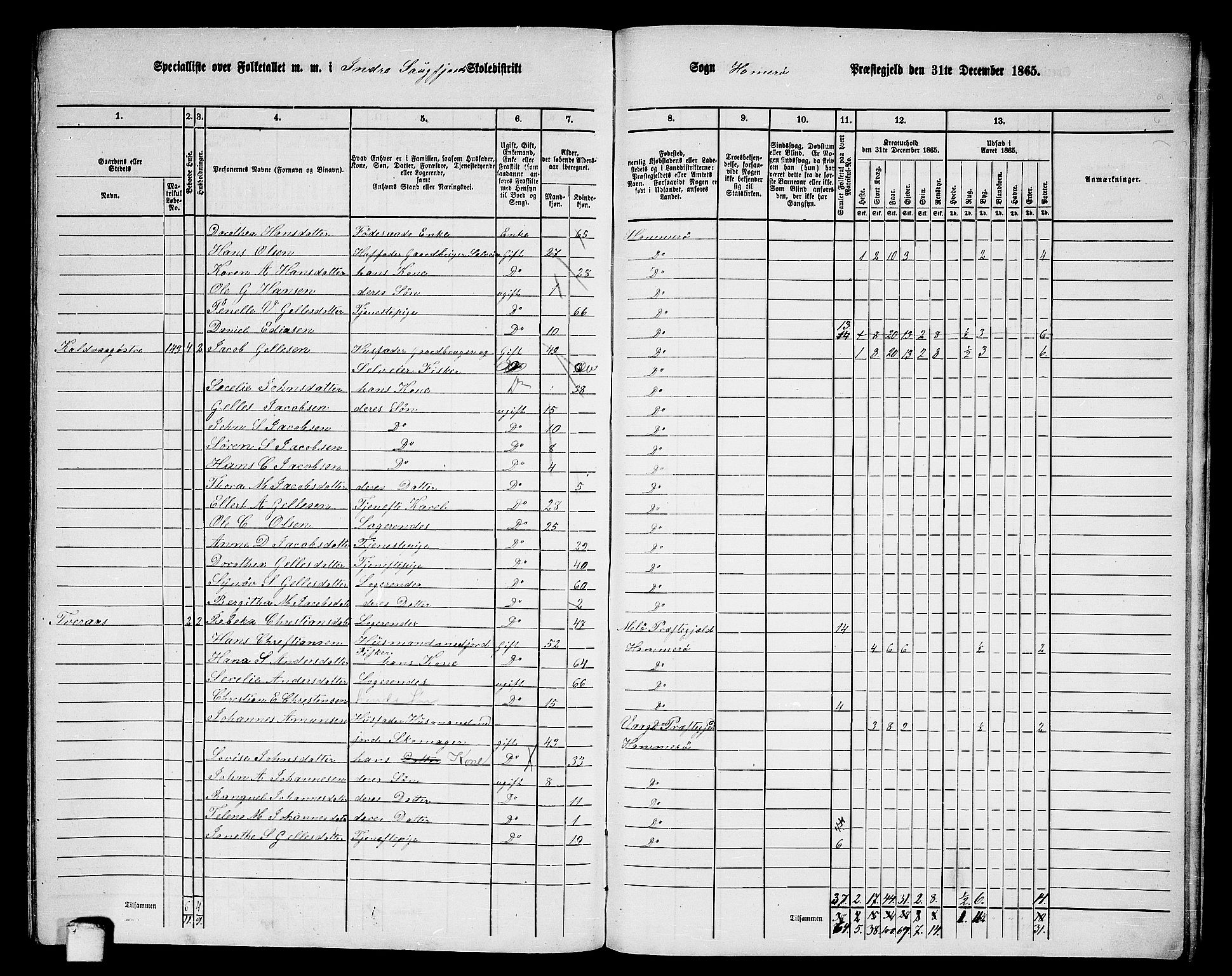 RA, 1865 census for Hamarøy, 1865, p. 82
