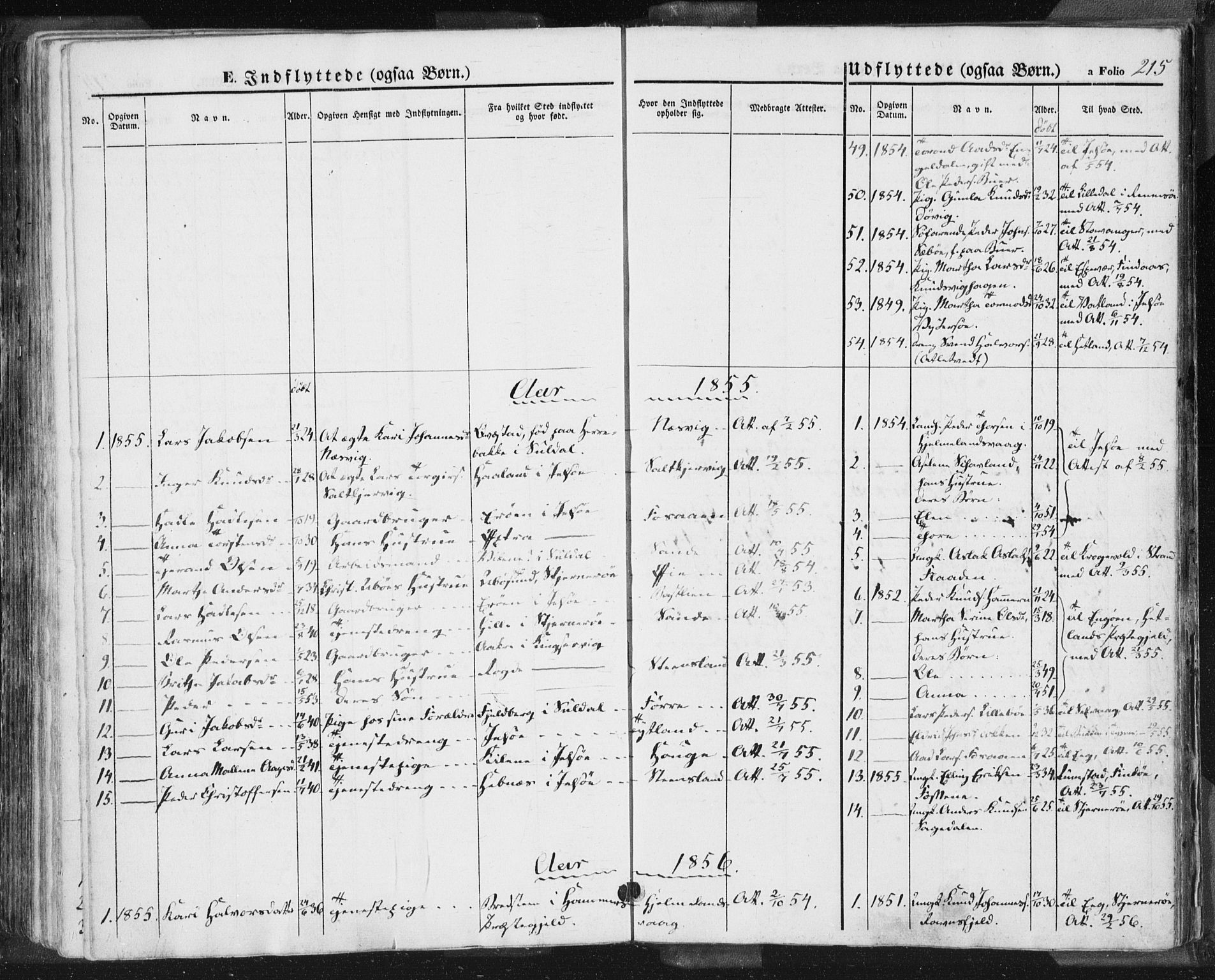 Hjelmeland sokneprestkontor, AV/SAST-A-101843/01/IV/L0009: Parish register (official) no. A 9, 1846-1860, p. 215