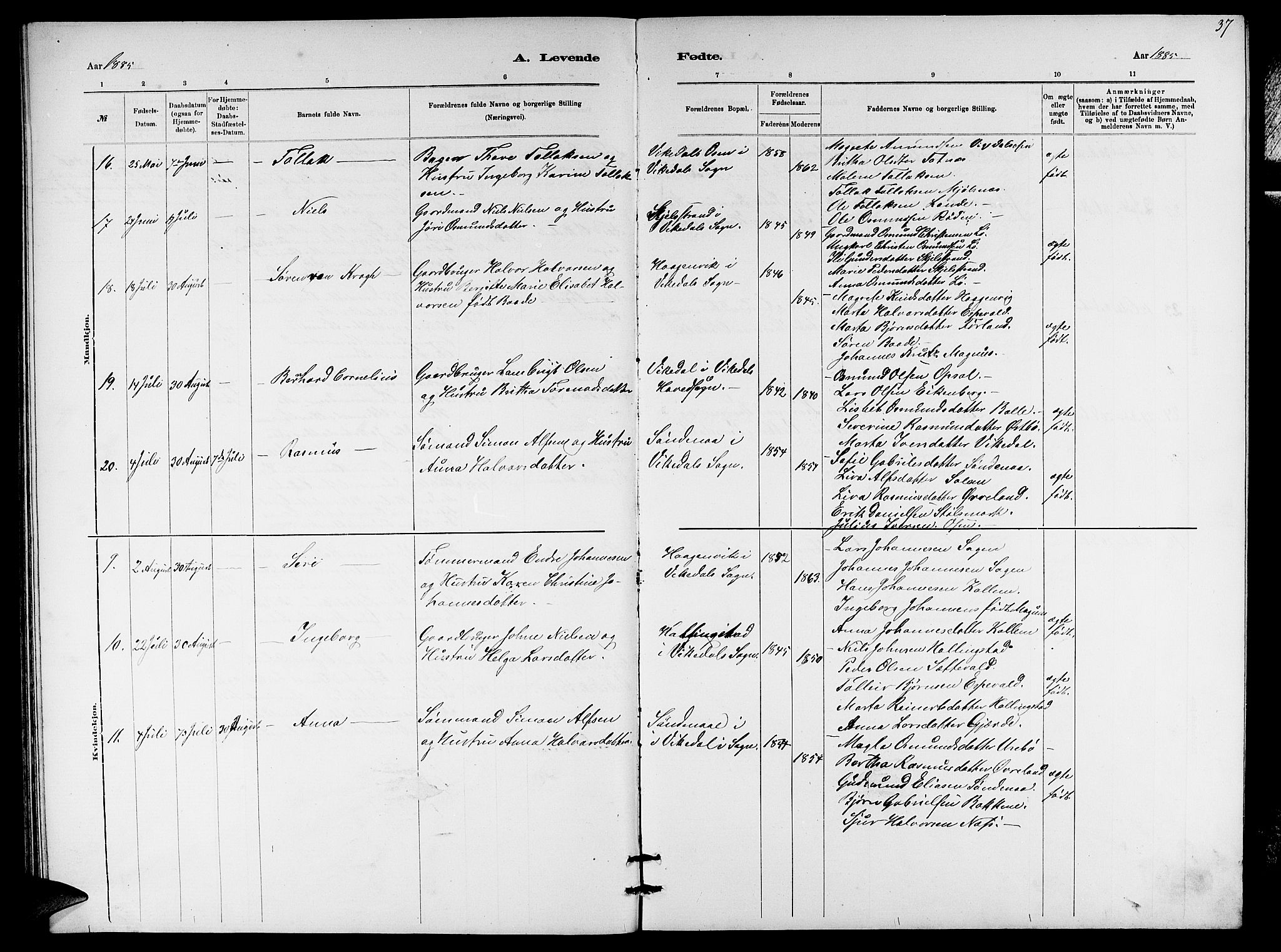 Vikedal sokneprestkontor, AV/SAST-A-101840/01/V: Parish register (copy) no. B 5, 1878-1888, p. 37