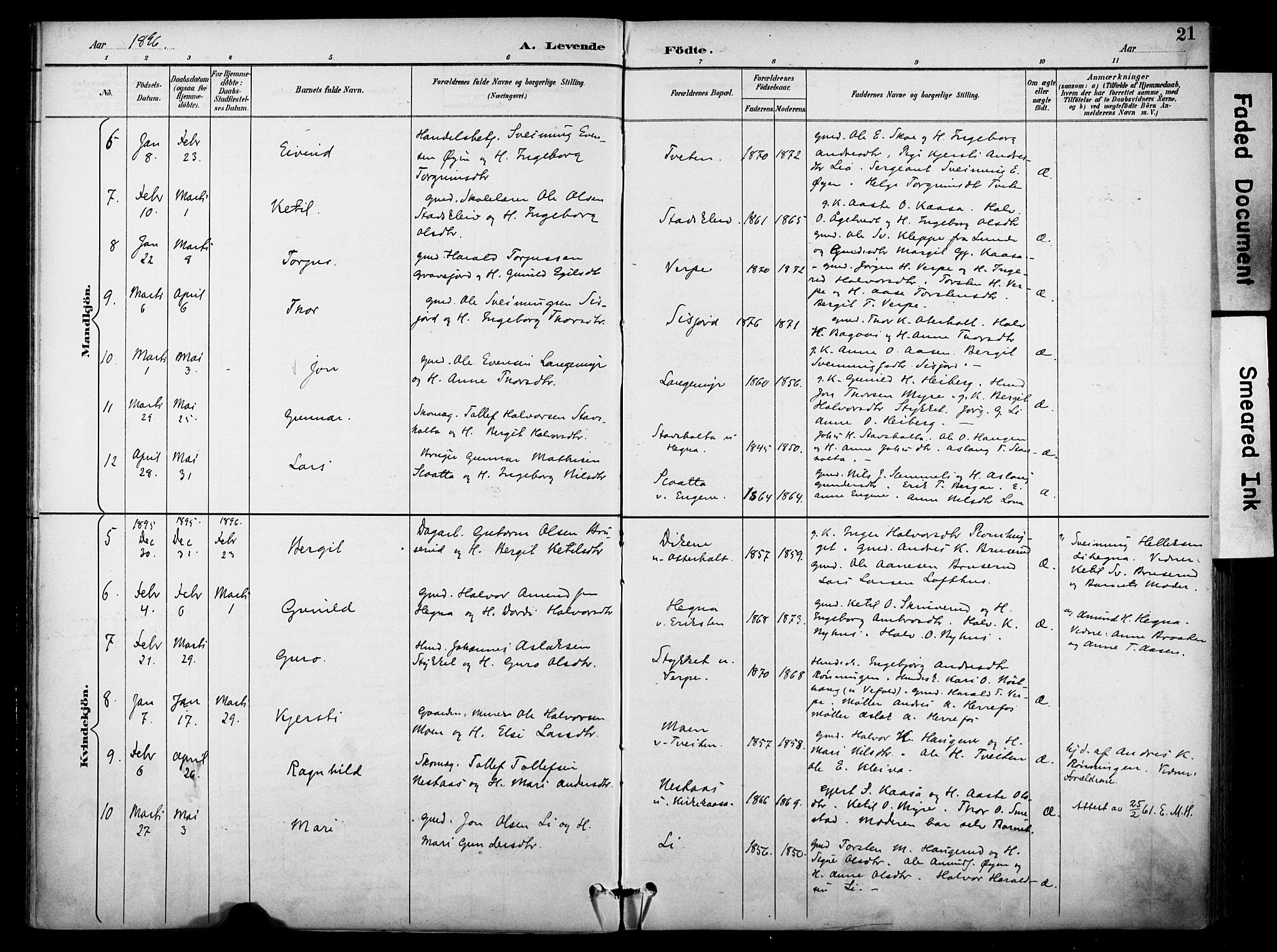 Bø kirkebøker, SAKO/A-257/F/Fa/L0011: Parish register (official) no. 11, 1892-1900, p. 21