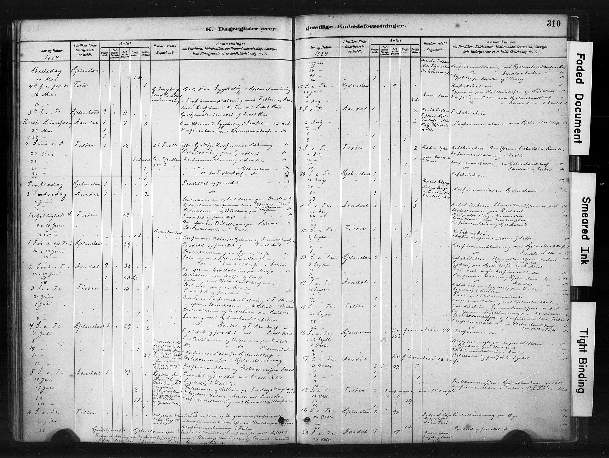 Hjelmeland sokneprestkontor, AV/SAST-A-101843/01/IV/L0014: Parish register (official) no. A 14, 1879-1900, p. 310