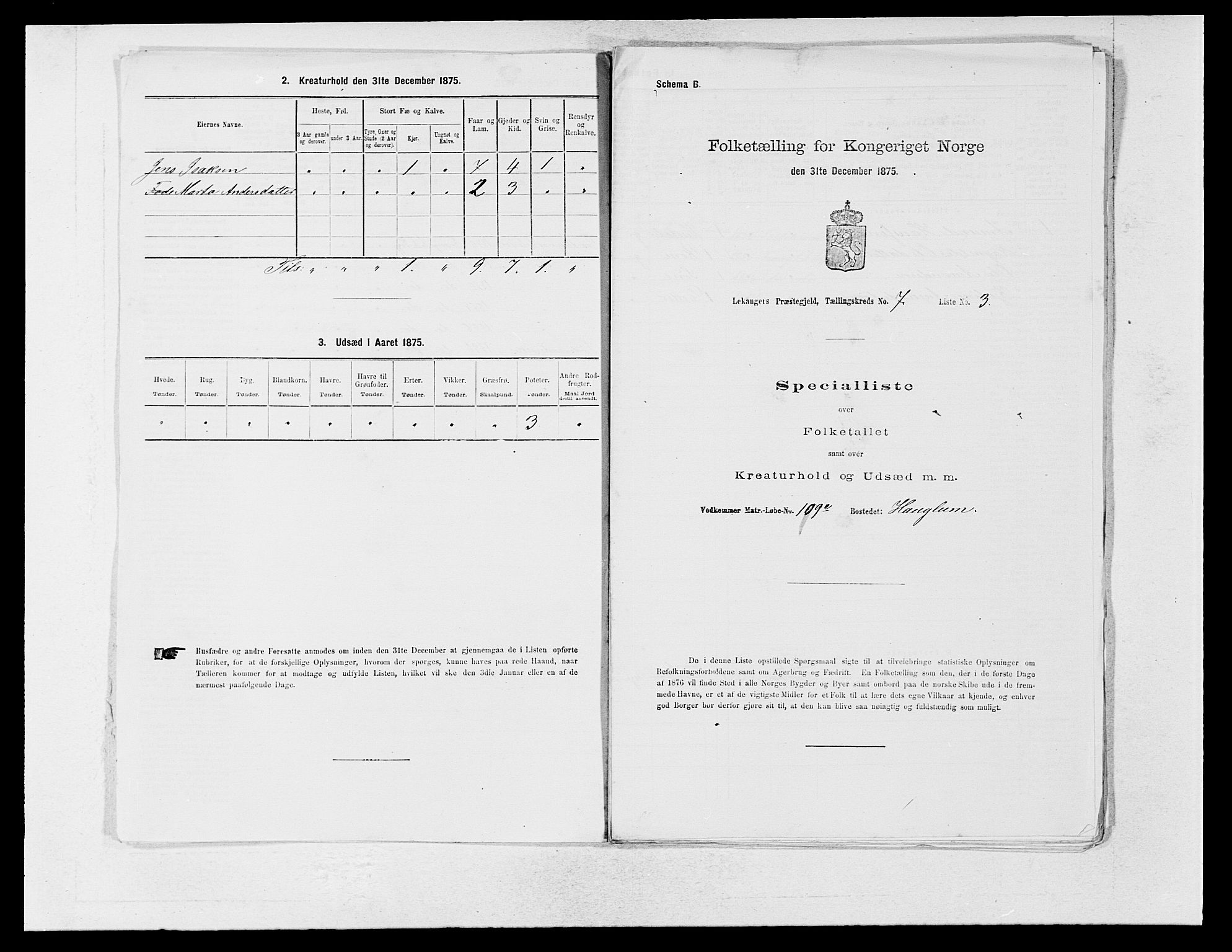 SAB, 1875 census for 1419P Leikanger, 1875, p. 542