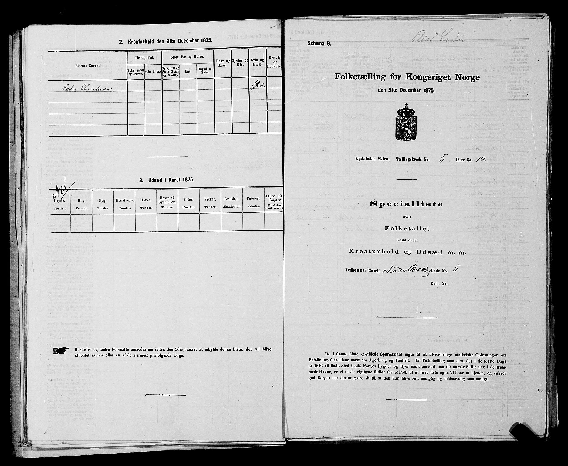 SAKO, 1875 census for 0806P Skien, 1875, p. 870