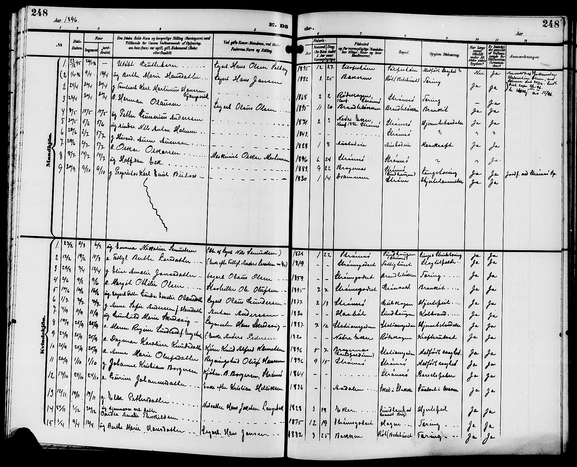 Strømsgodset kirkebøker, AV/SAKO-A-324/G/Ga/L0002: Parish register (copy) no. 2, 1885-1910, p. 248