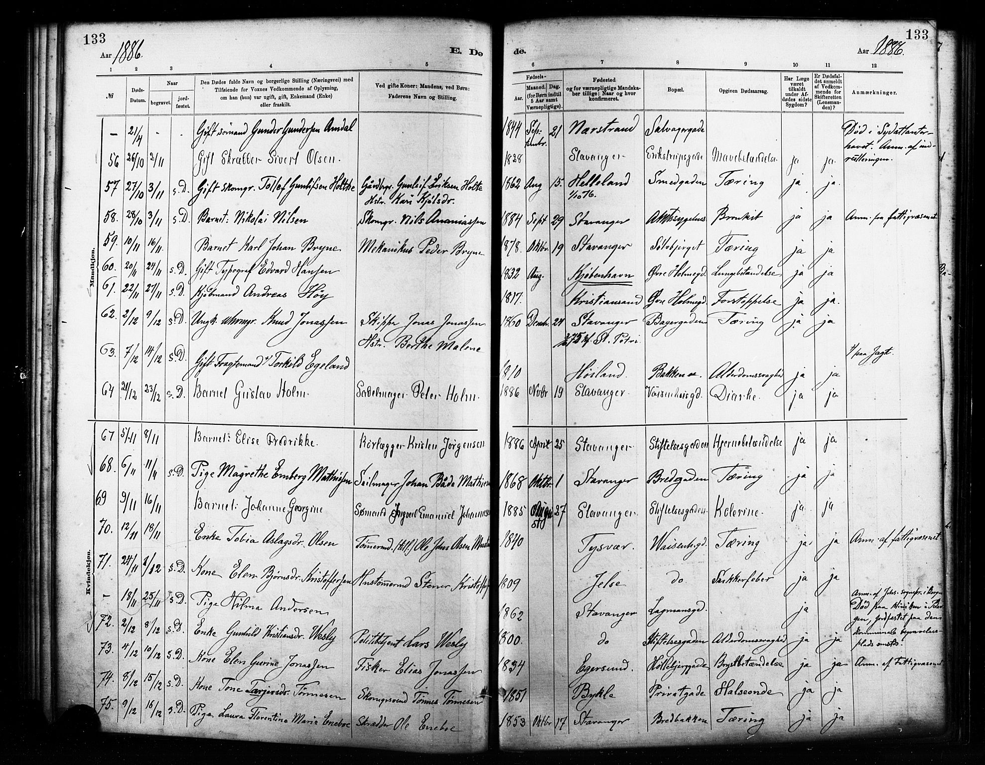 St. Petri sokneprestkontor, AV/SAST-A-101813/001/30/30BA/L0017: Parish register (official) no. A 17, 1879-1895, p. 133