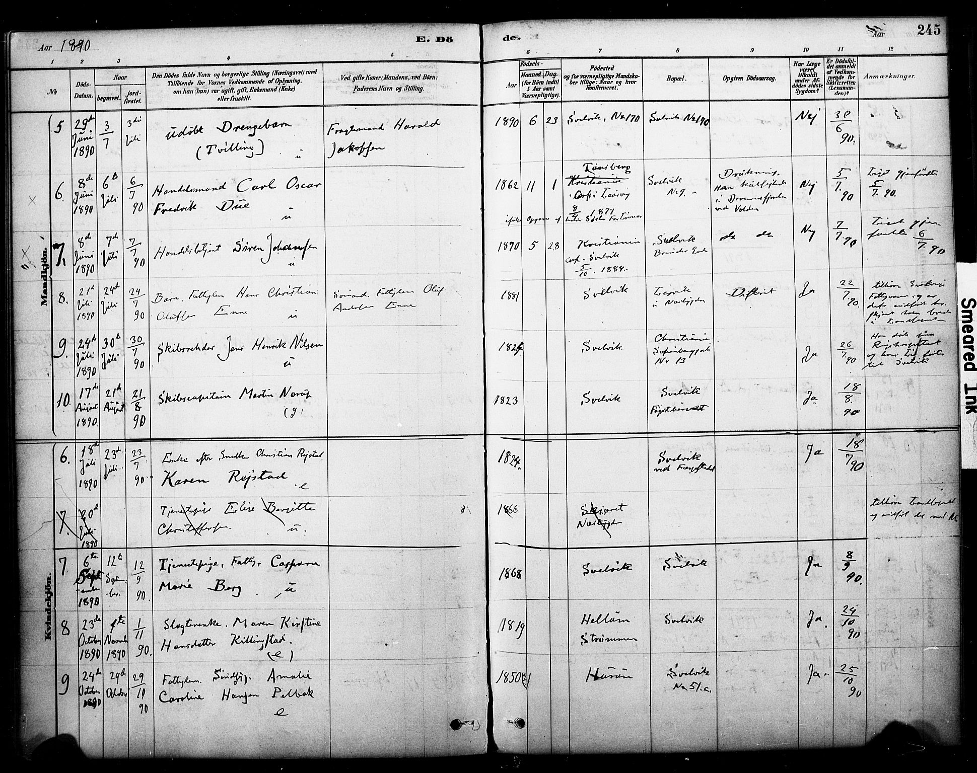 Strømm kirkebøker, AV/SAKO-A-322/F/Fb/L0001: Parish register (official) no. II 1, 1878-1899, p. 245