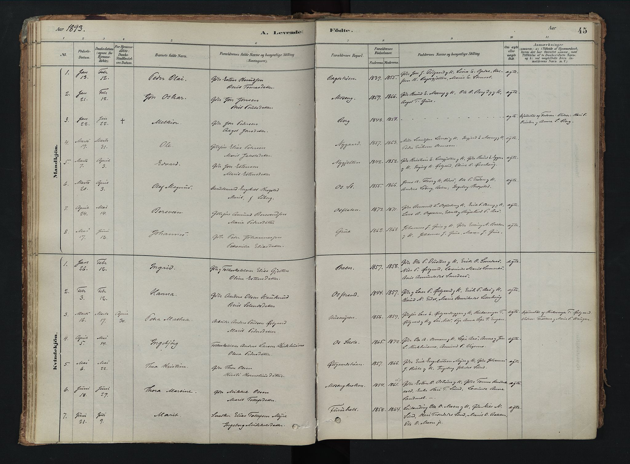 Tolga prestekontor, AV/SAH-PREST-062/K/L0008: Parish register (official) no. 8, 1877-1910, p. 45