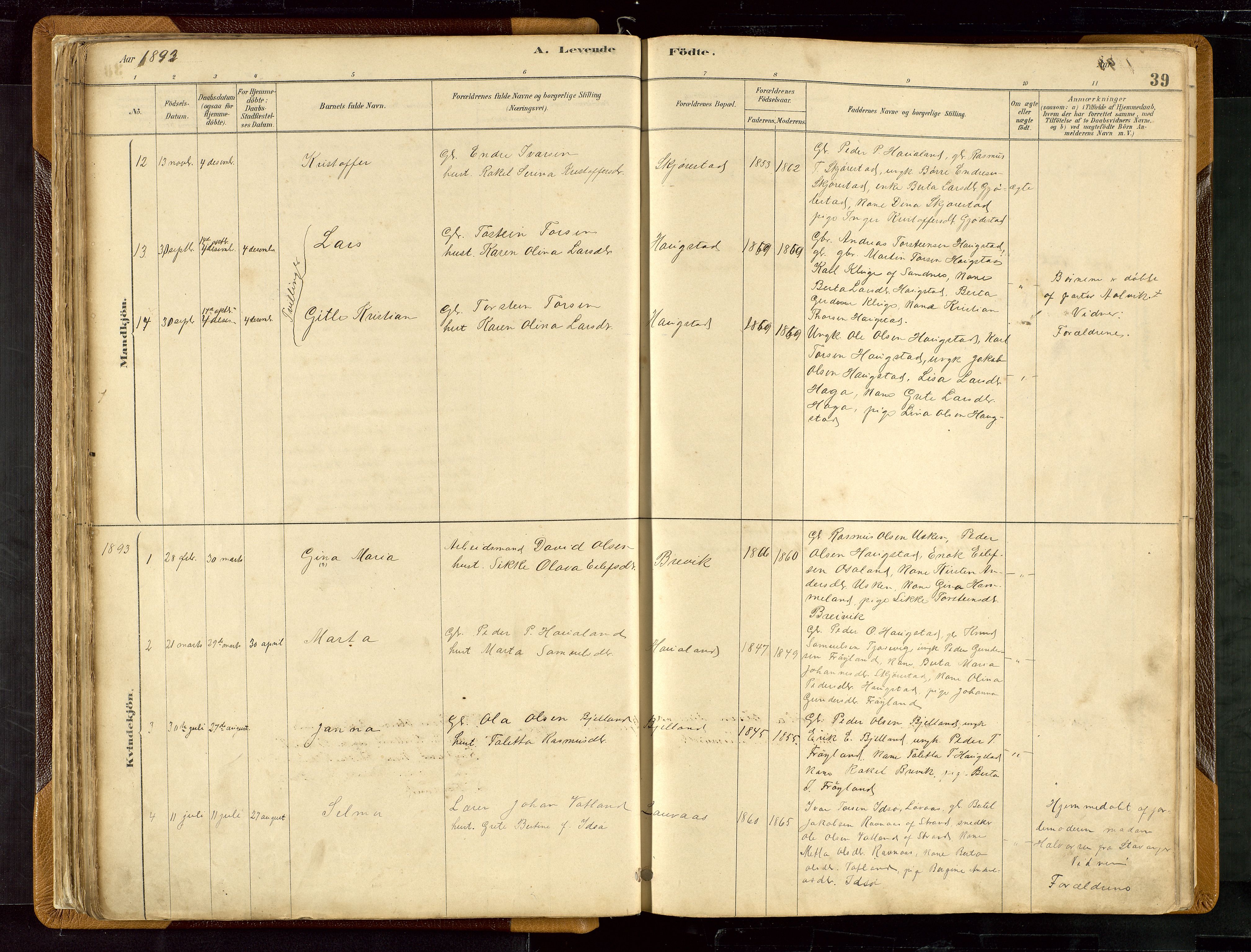 Hetland sokneprestkontor, SAST/A-101826/30/30BB/L0007: Parish register (copy) no. B 7, 1878-1910, p. 39