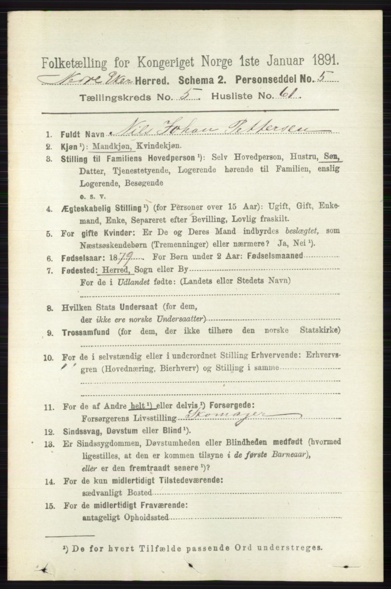 RA, 1891 census for 0625 Nedre Eiker, 1891, p. 2702