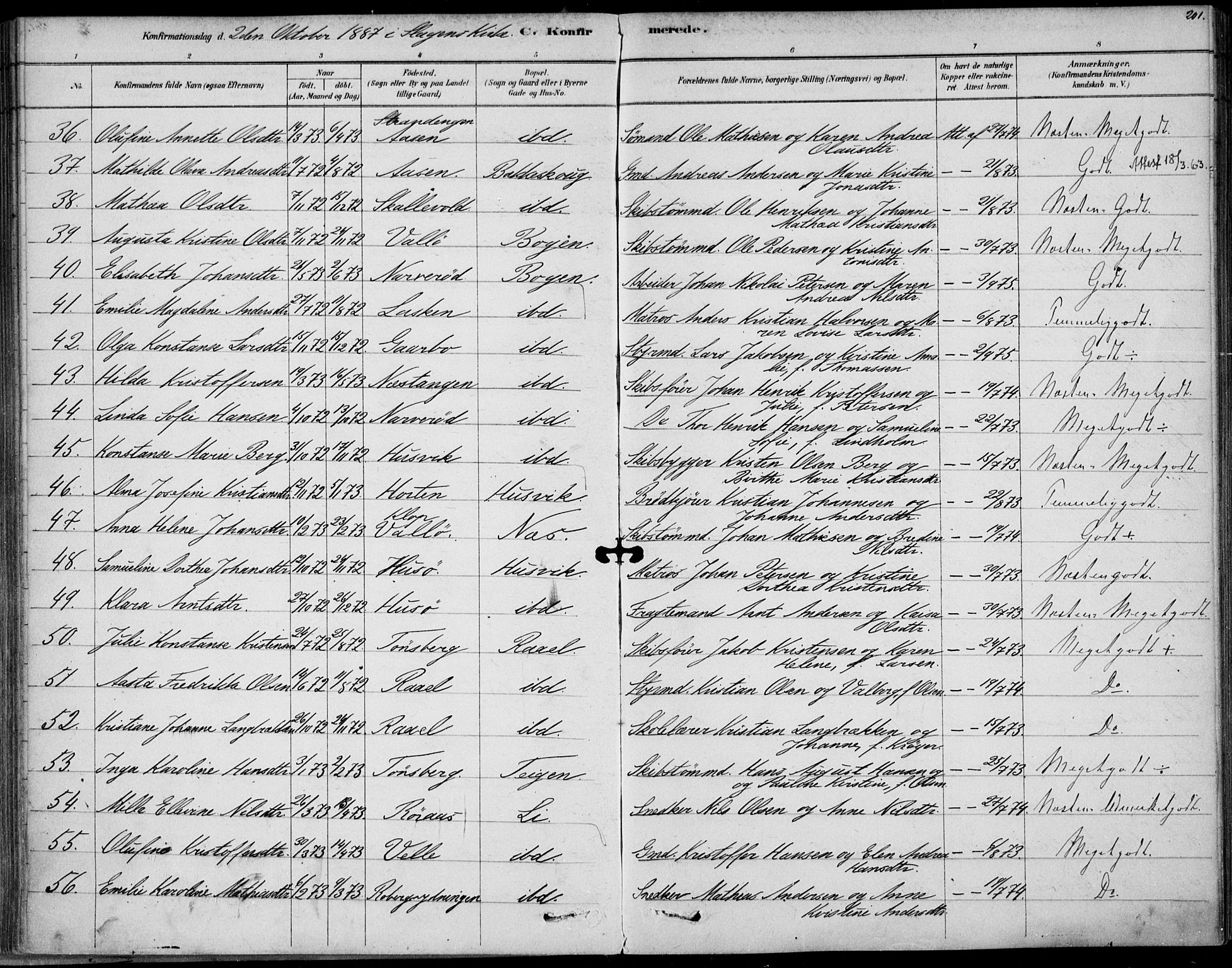 Sem kirkebøker, AV/SAKO-A-5/F/Fb/L0004: Parish register (official) no. II 4, 1878-1891, p. 201